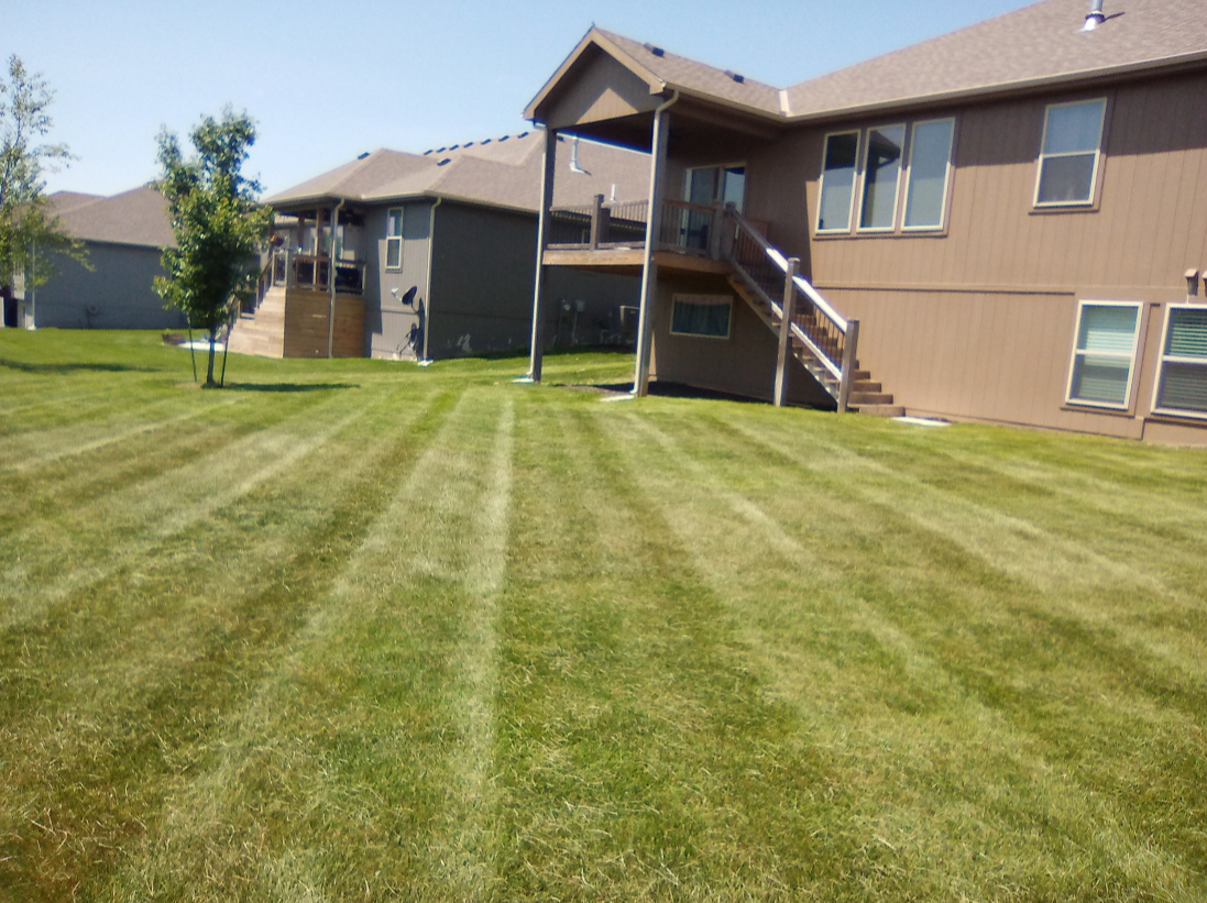 Oranssi project: studio shed
