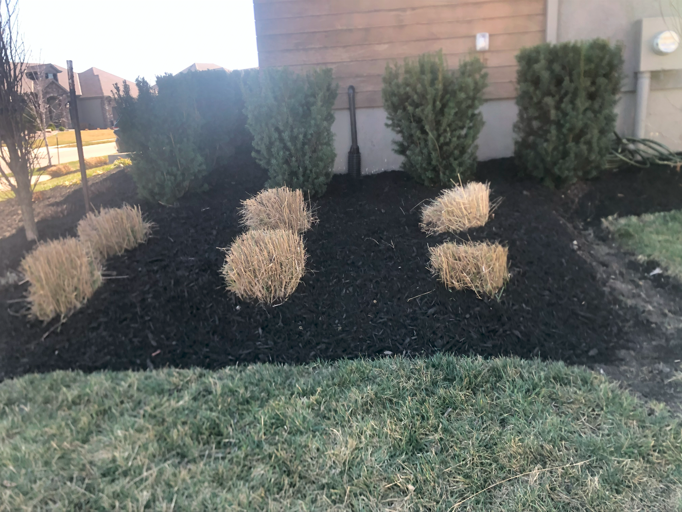 Oranssi project: roof expansion