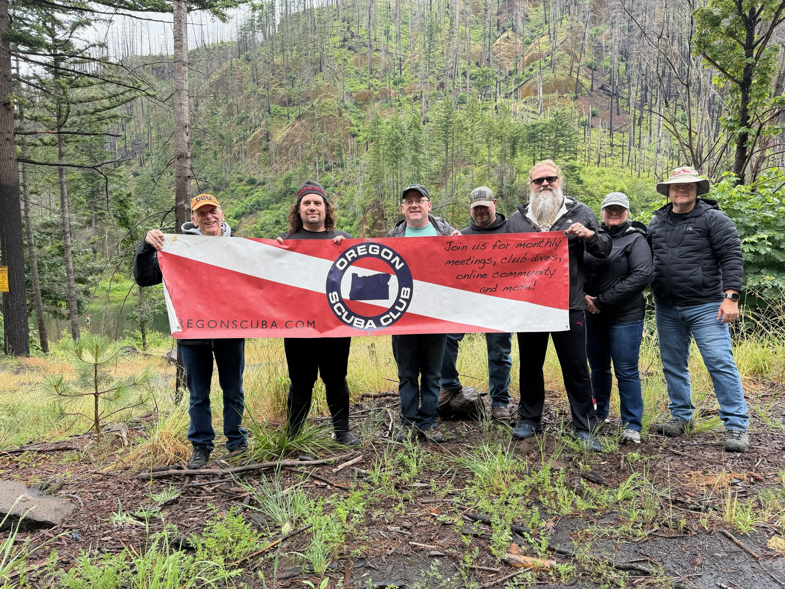 Library - 1 of 6.jpeg