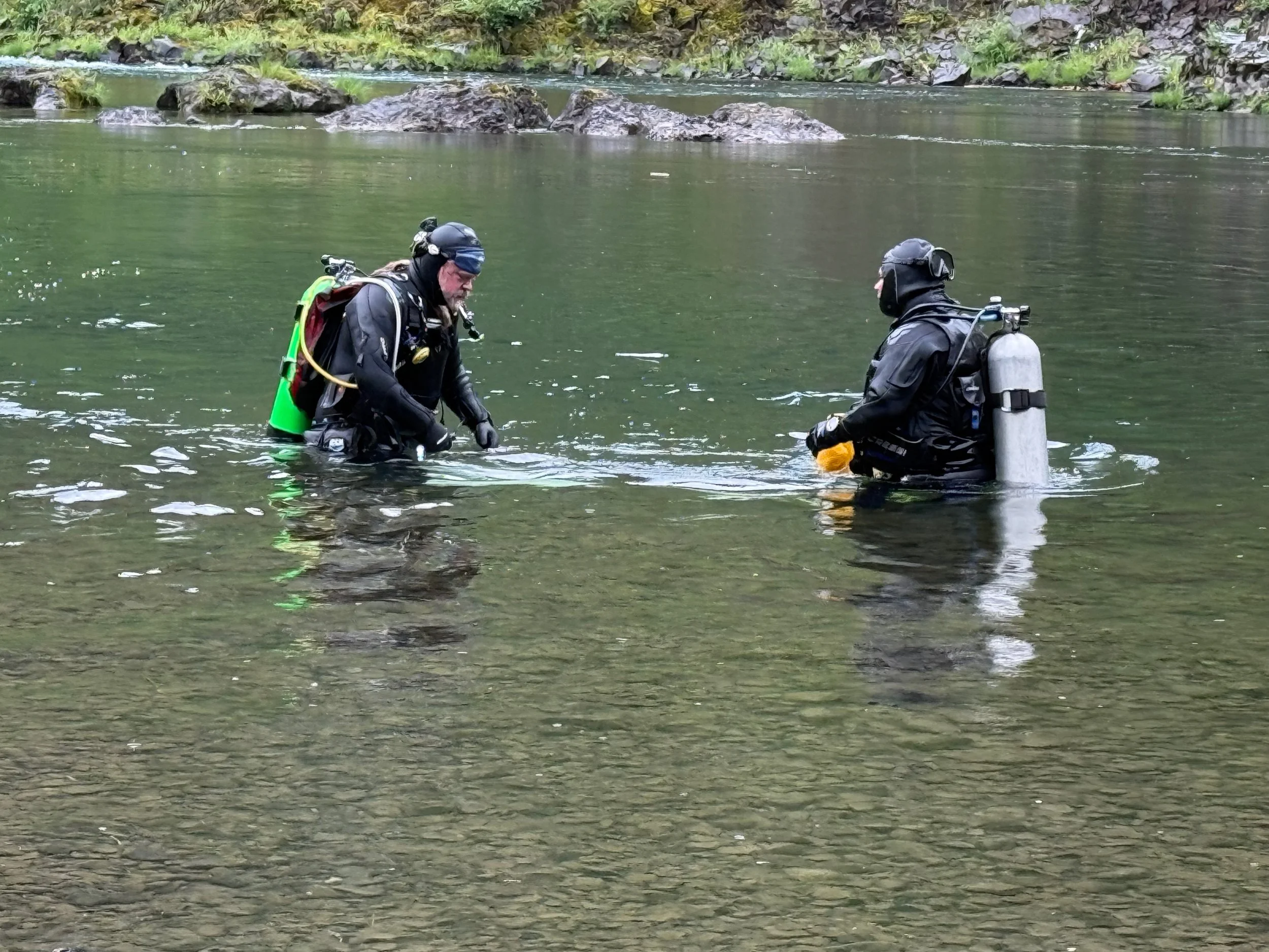 Library - 3 of 6.jpeg