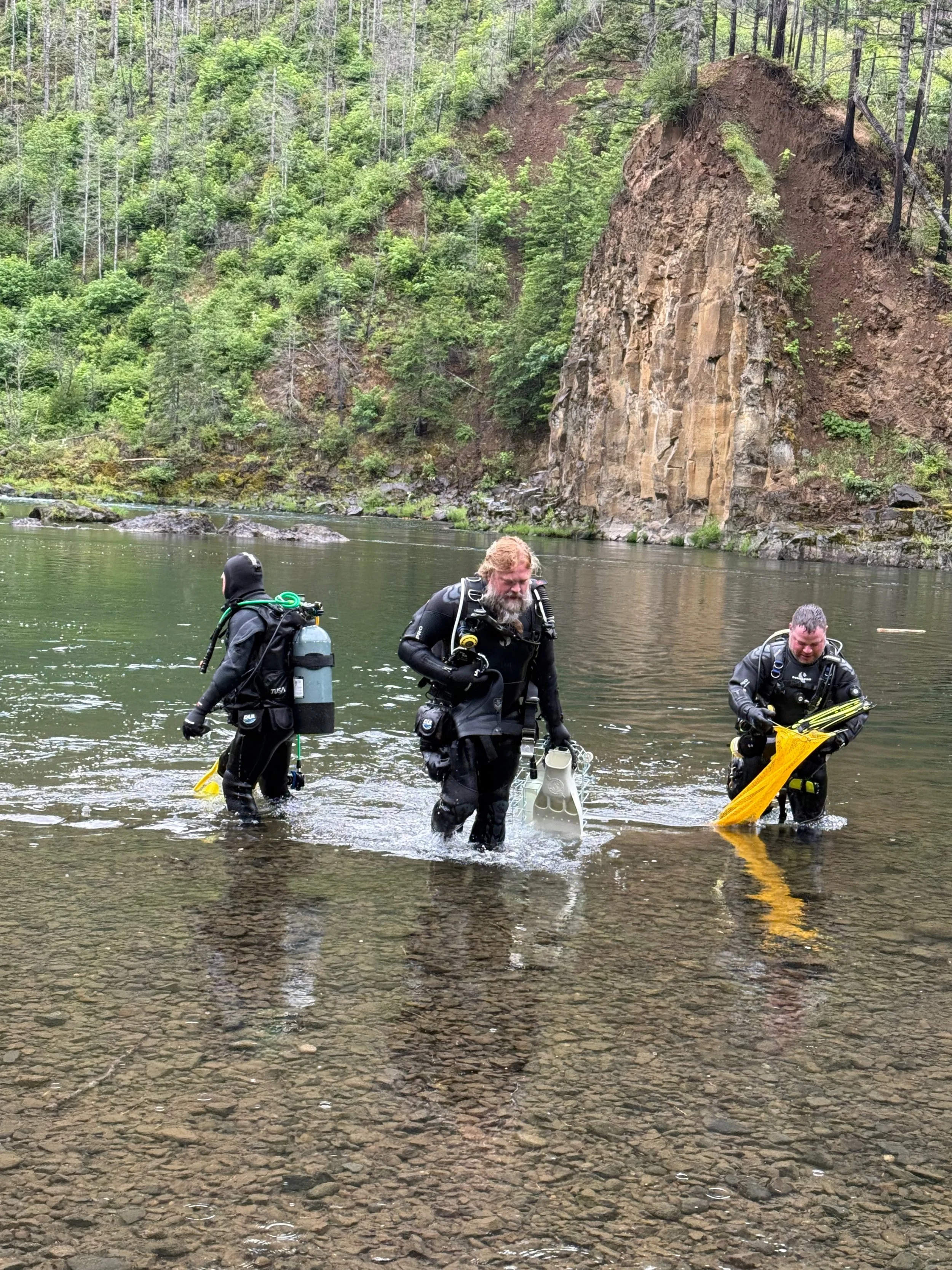 Library - 4 of 6.jpeg