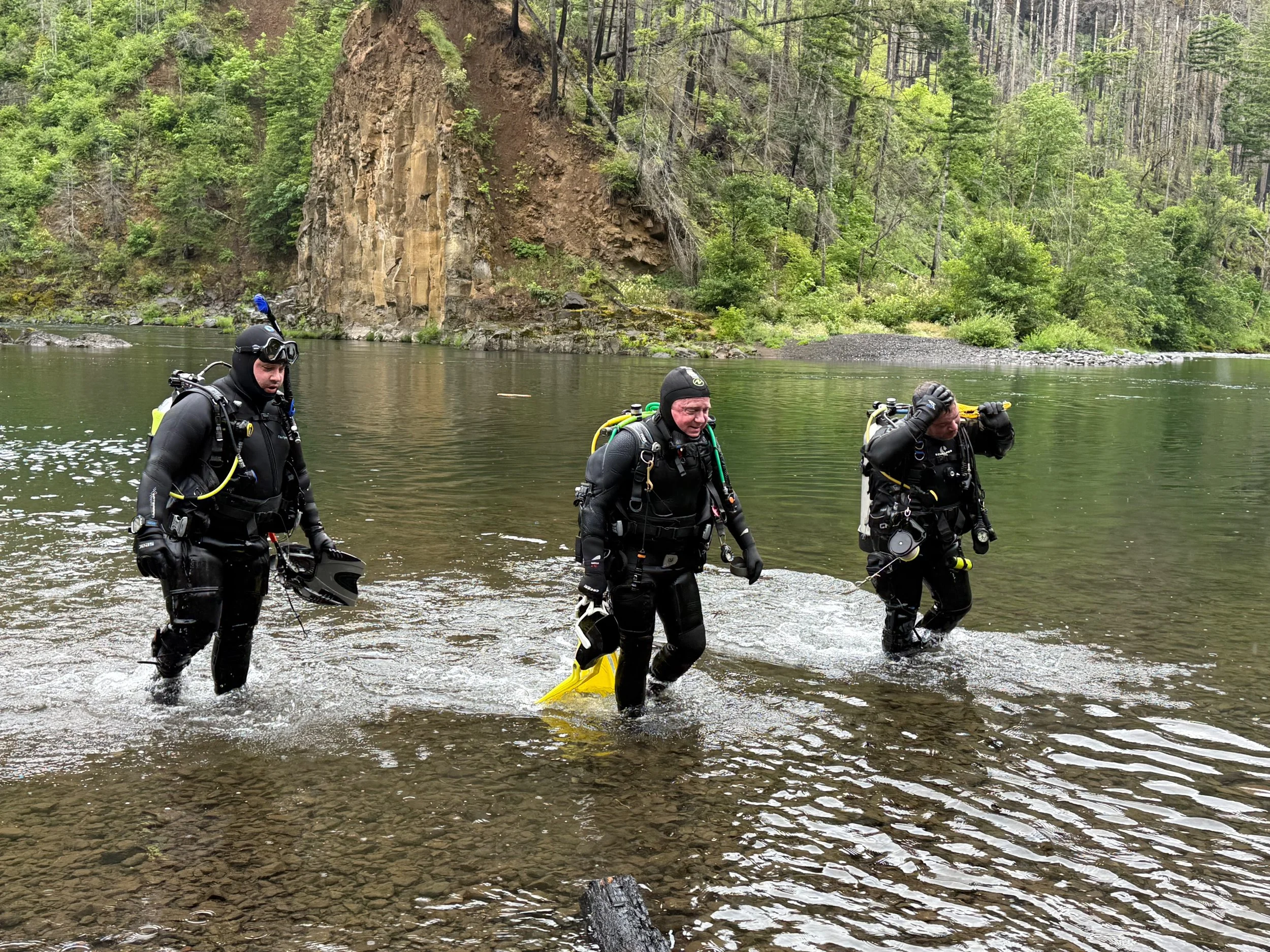 Library - 5 of 6.jpeg