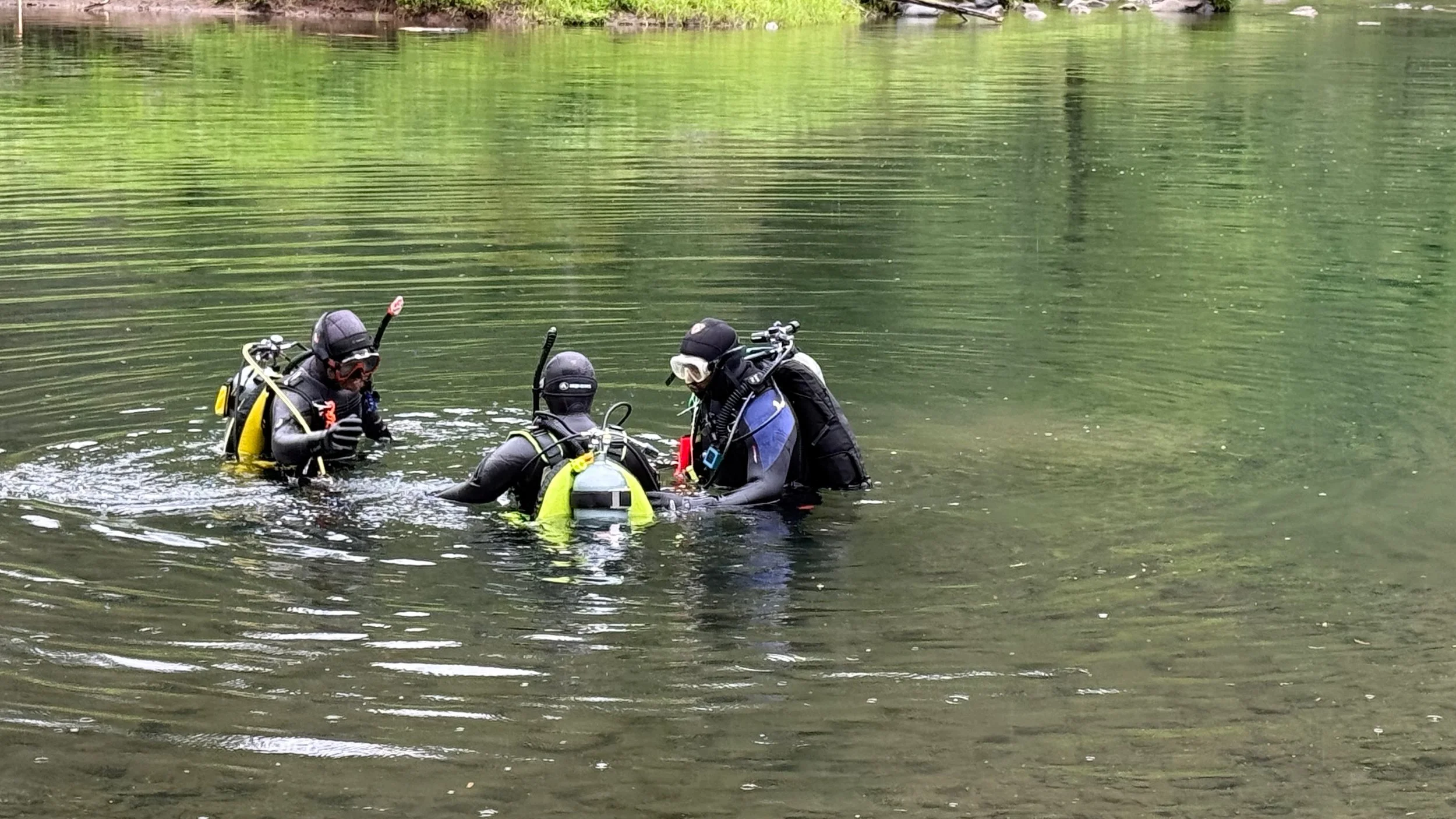 Library - 6 of 6.jpeg