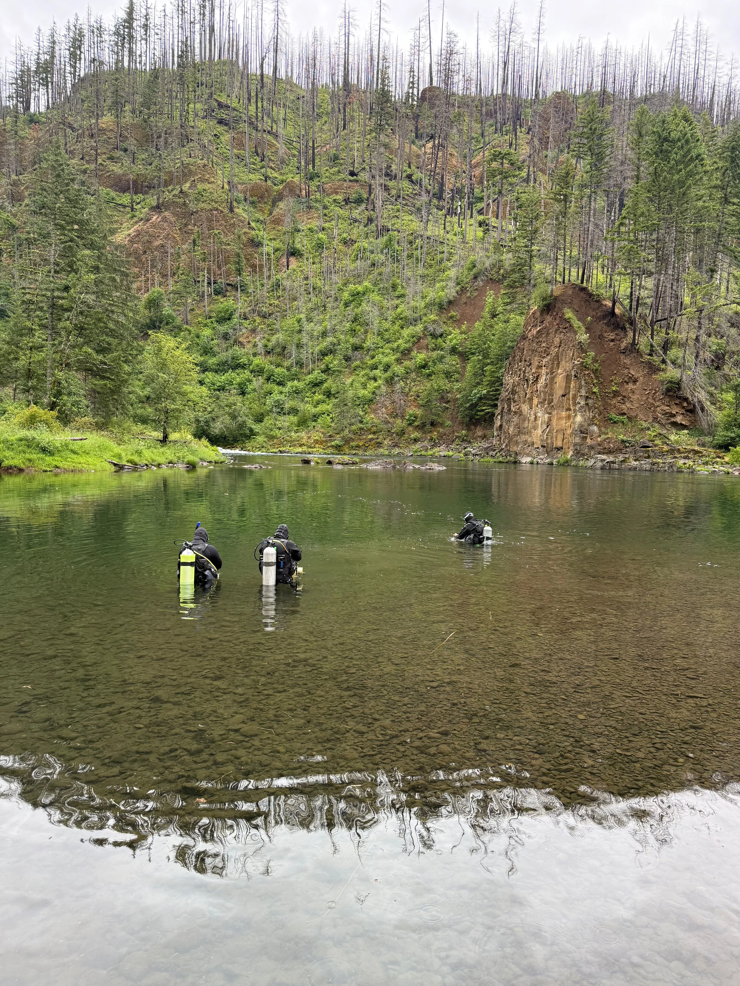 Library - 2 of 3.jpeg