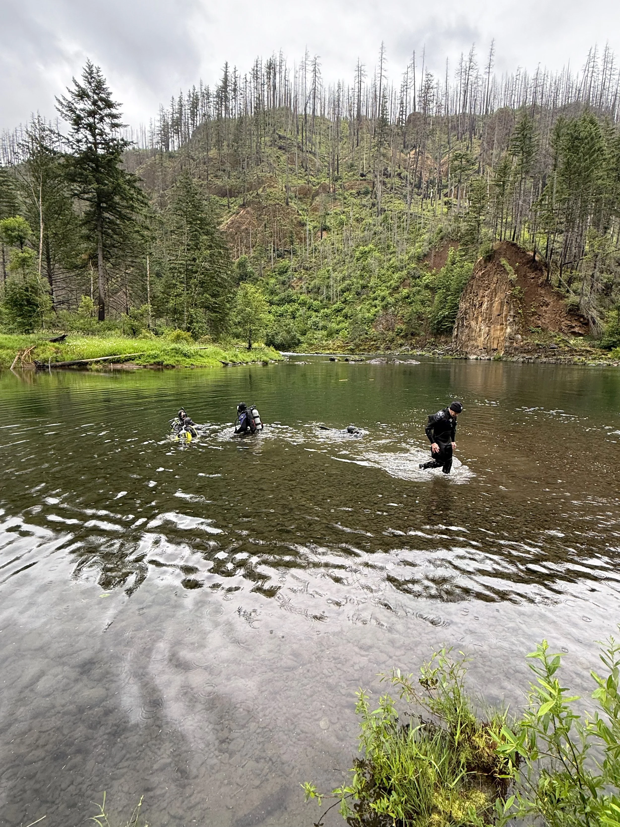 Library - 3 of 3.jpeg