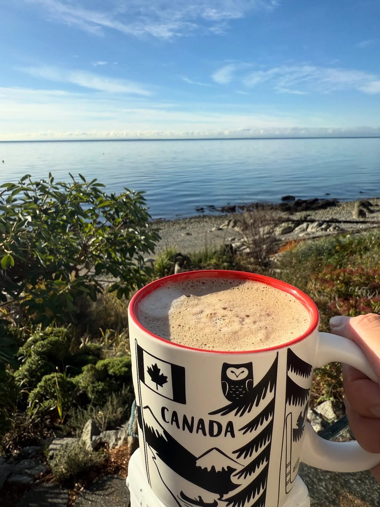 Dark Chocolate Caramel Macchiato Enhanced Collagen Protein

I love this stuff. It tastes like an indulgent treat&mdash;rich, smooth, and perfectly balanced without being overly sweet&mdash;but it&rsquo;s actually nourishing.

I&rsquo;ve been mixing i