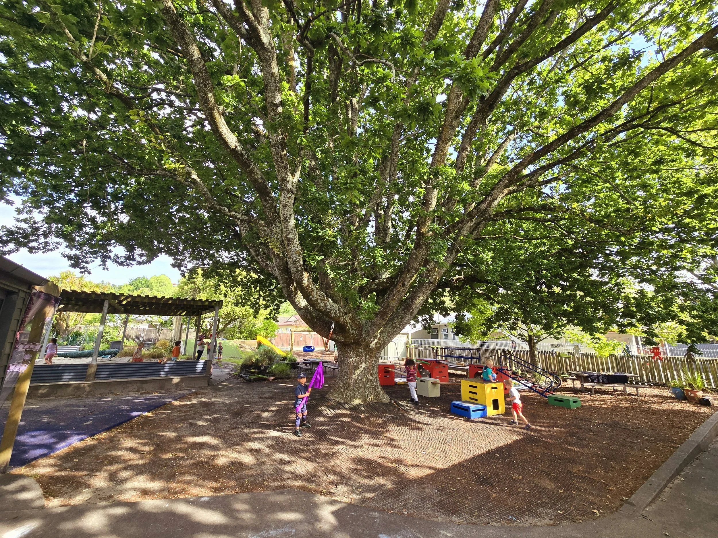 Kaiako - Victory Square Kindergarten
