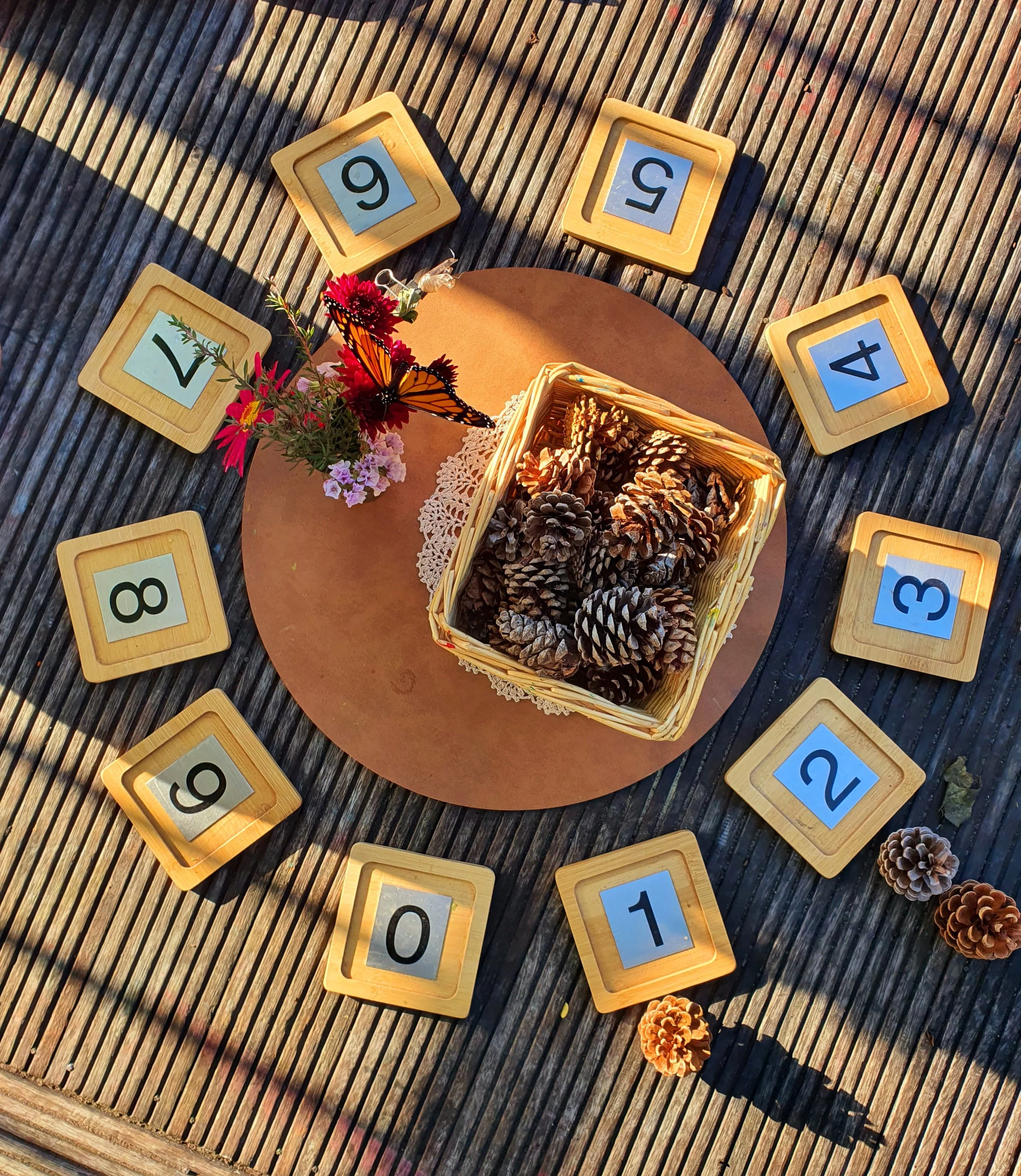 Kaiako - Matangi Āwhio Auckland Point