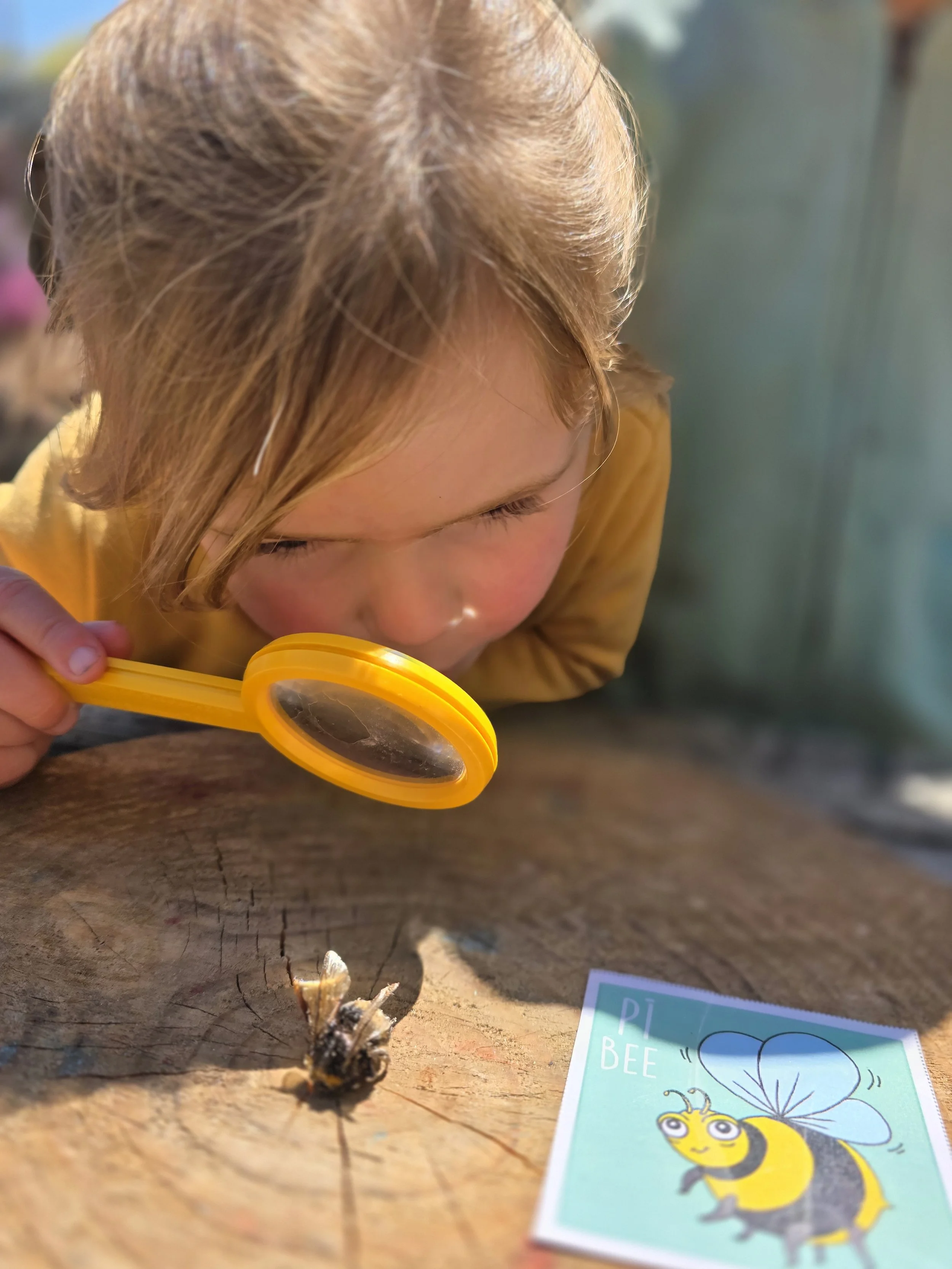 Kaiako | Tāhunanui Kindergarten