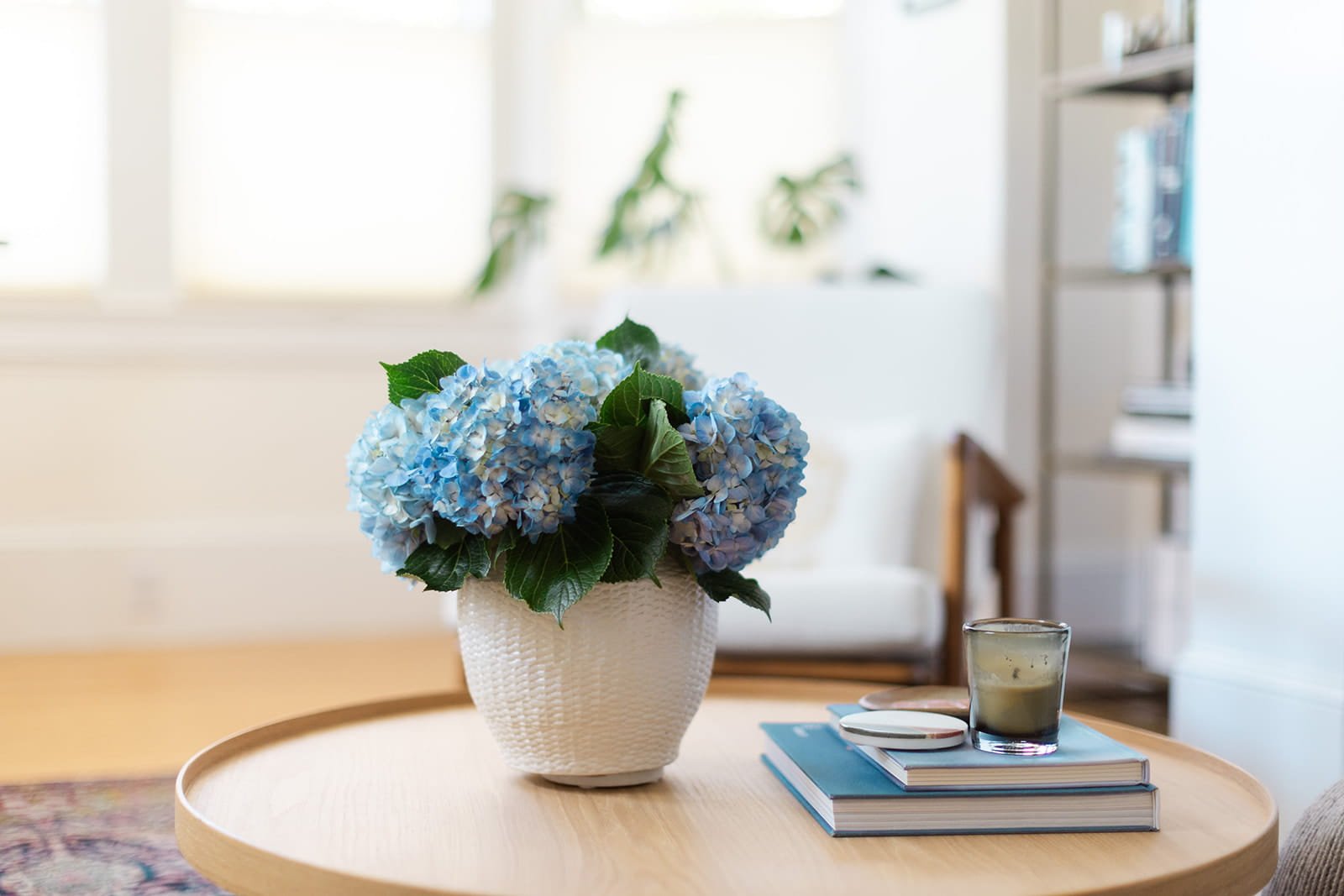 A potted blue hydrangea plant, stack of books, and candle is on a wooden coffee table in a brightly lit room.
