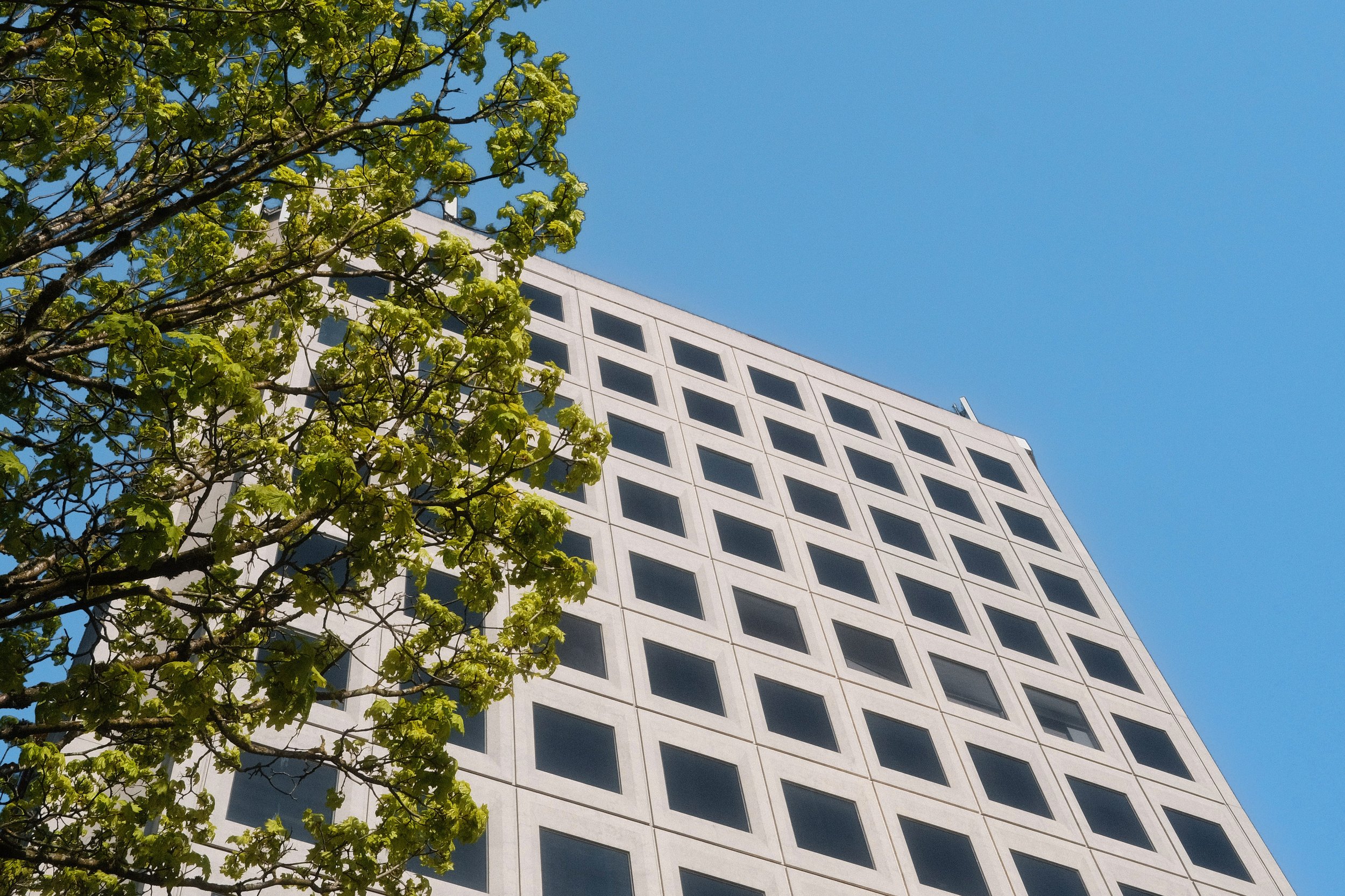 Airport Square 1200 office building in Vancouver, with grid-patterned windows and a tree in foreground against blue sky.