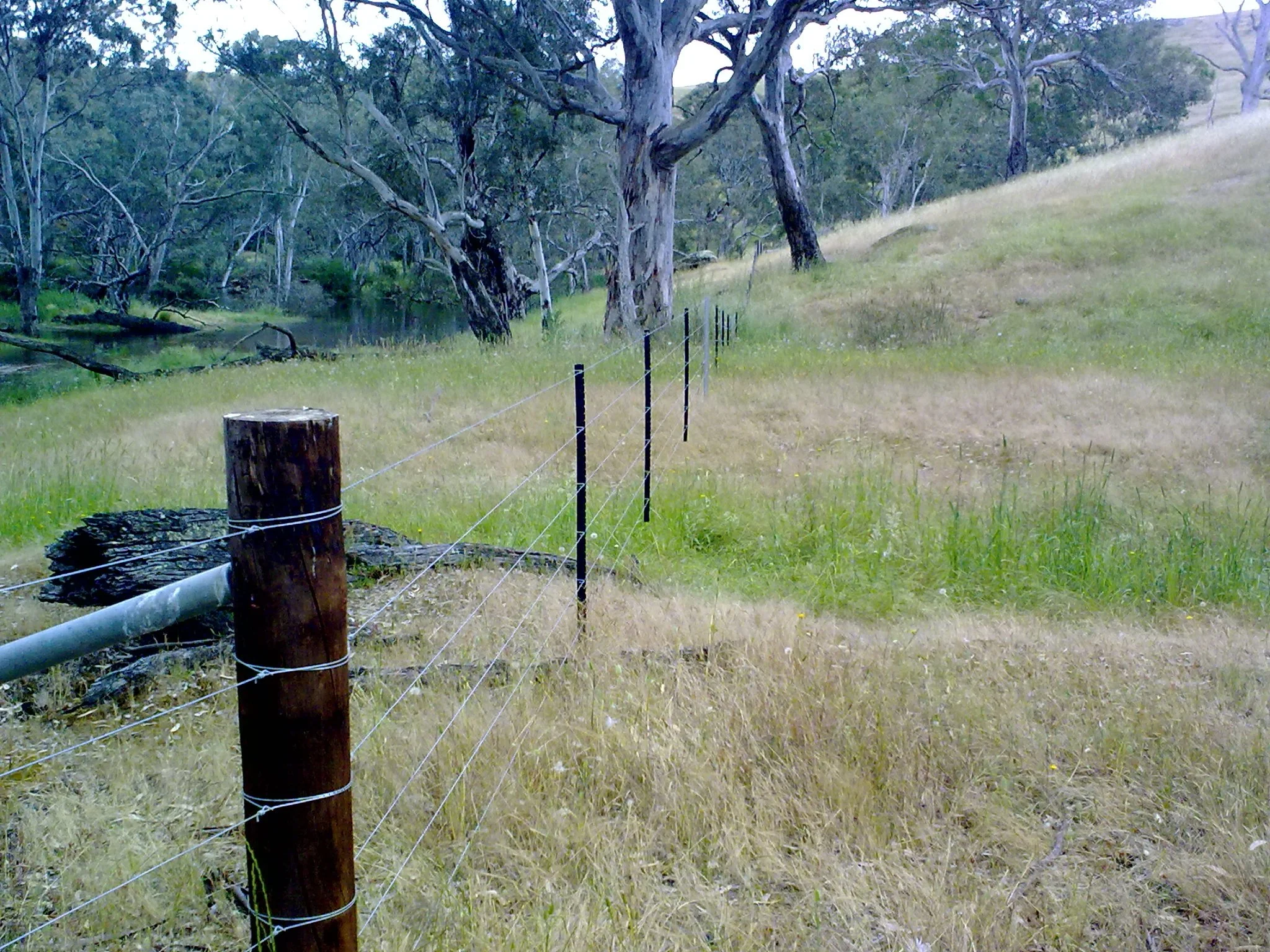 Shared banks, shared benefits: the art of fence negotiation