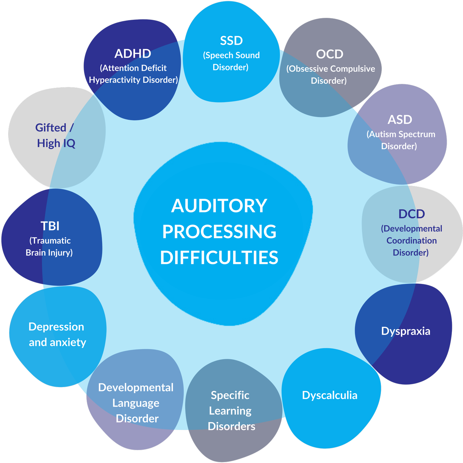 About Auditory Processing Disorder — Auditory Processing Services