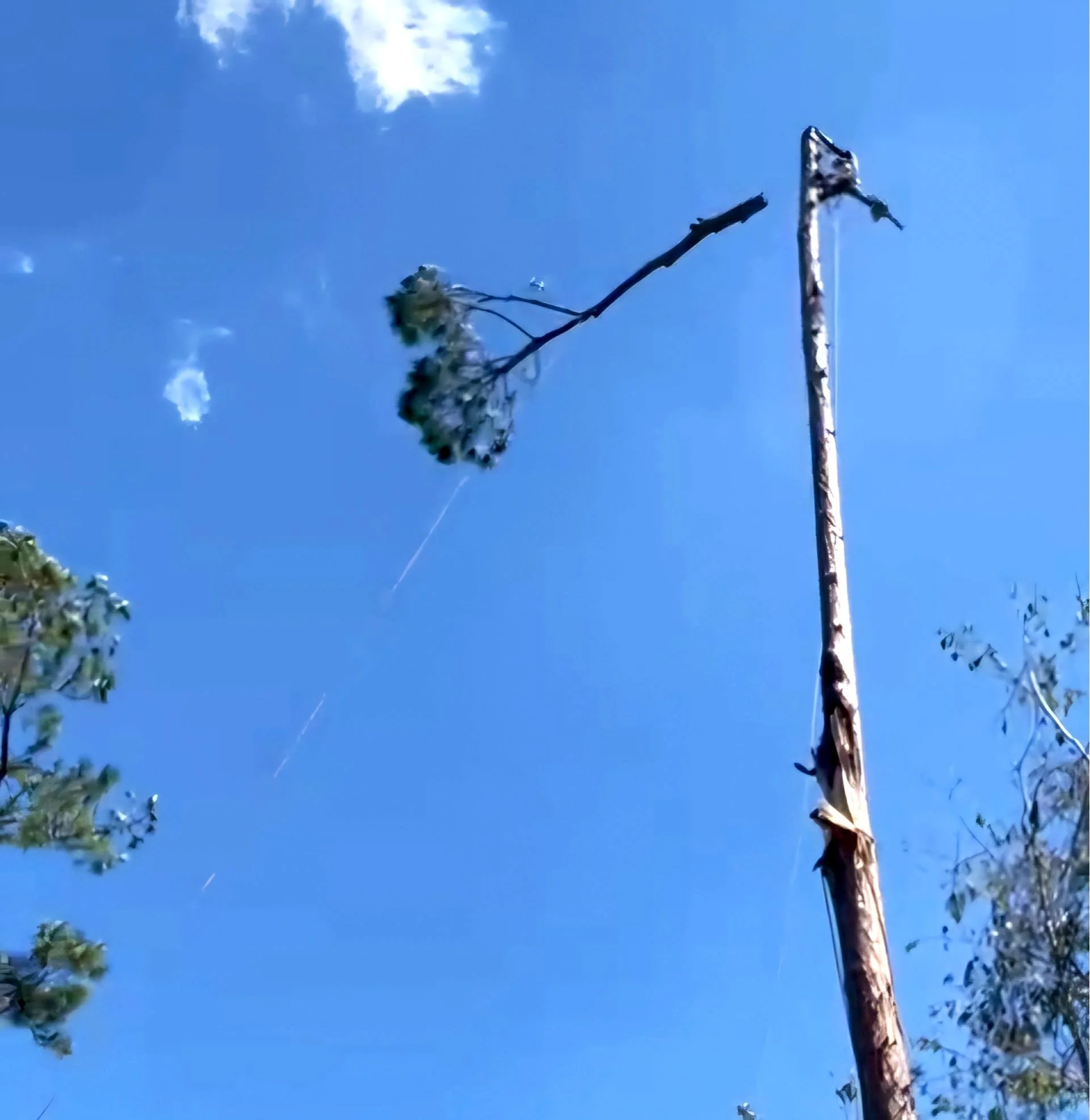 Oranssi project: studio shed