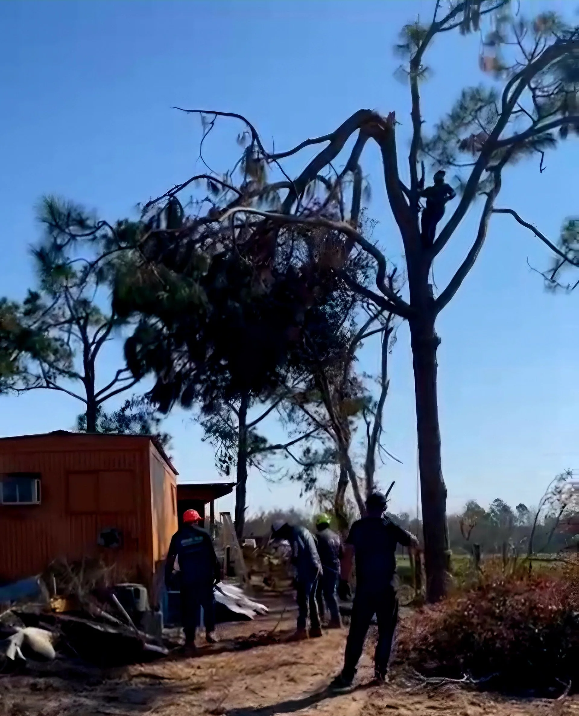 Oranssi carpenter using bench saw