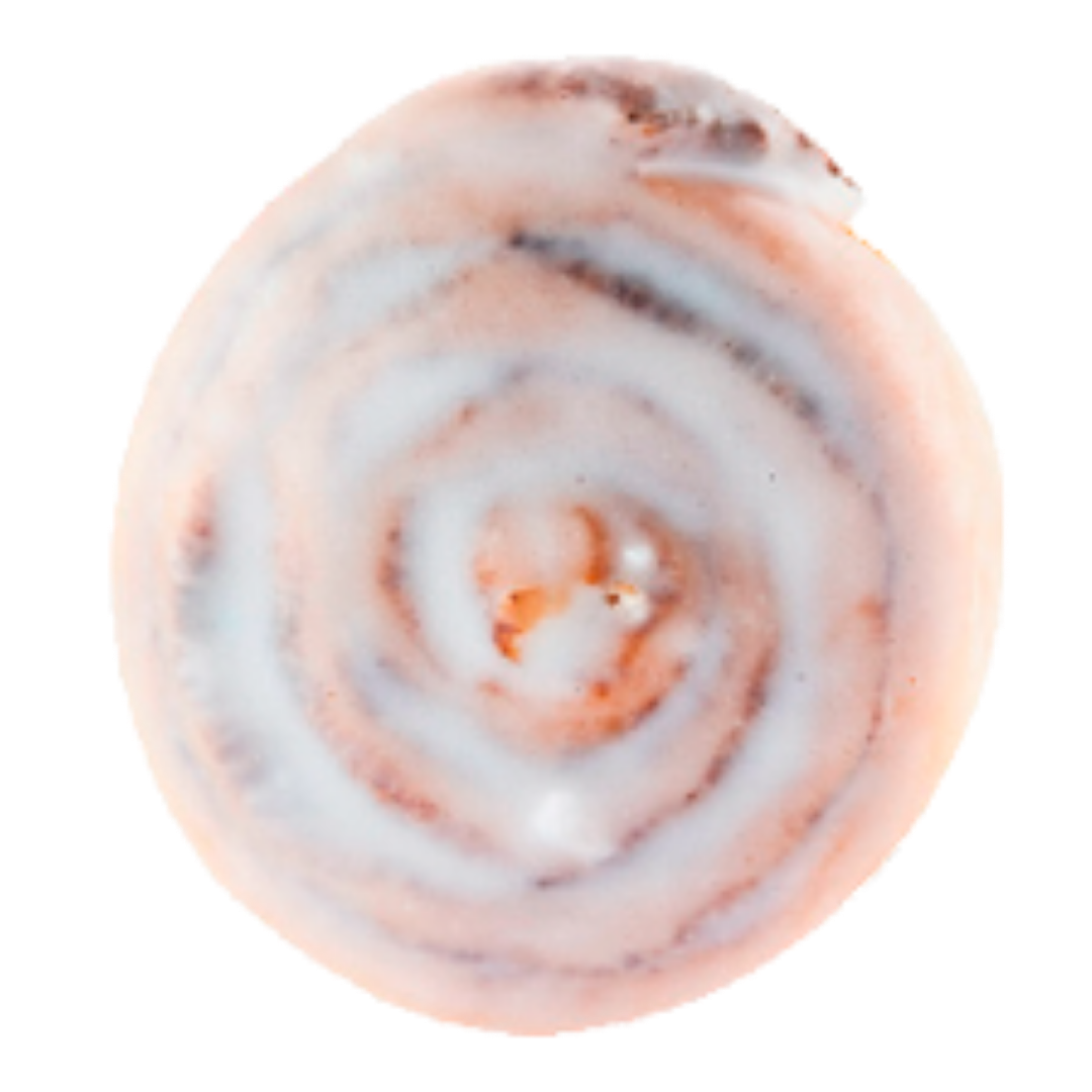 Classic Cinnamon Scroll