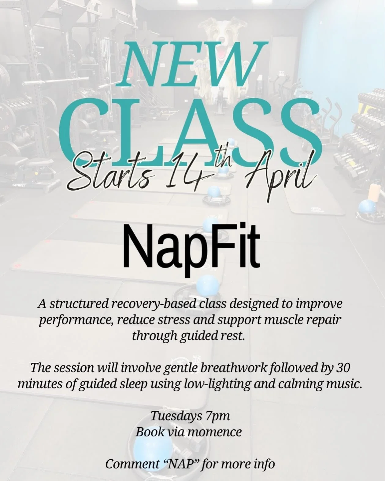 Rest and recovery is just as important as the actual workout. We are introducing a new class to our timetable to make sure you are scheduling your recovery into your weekly plan. Starting Tuesday the 14th of April - book via Momence. Comment NAP for 