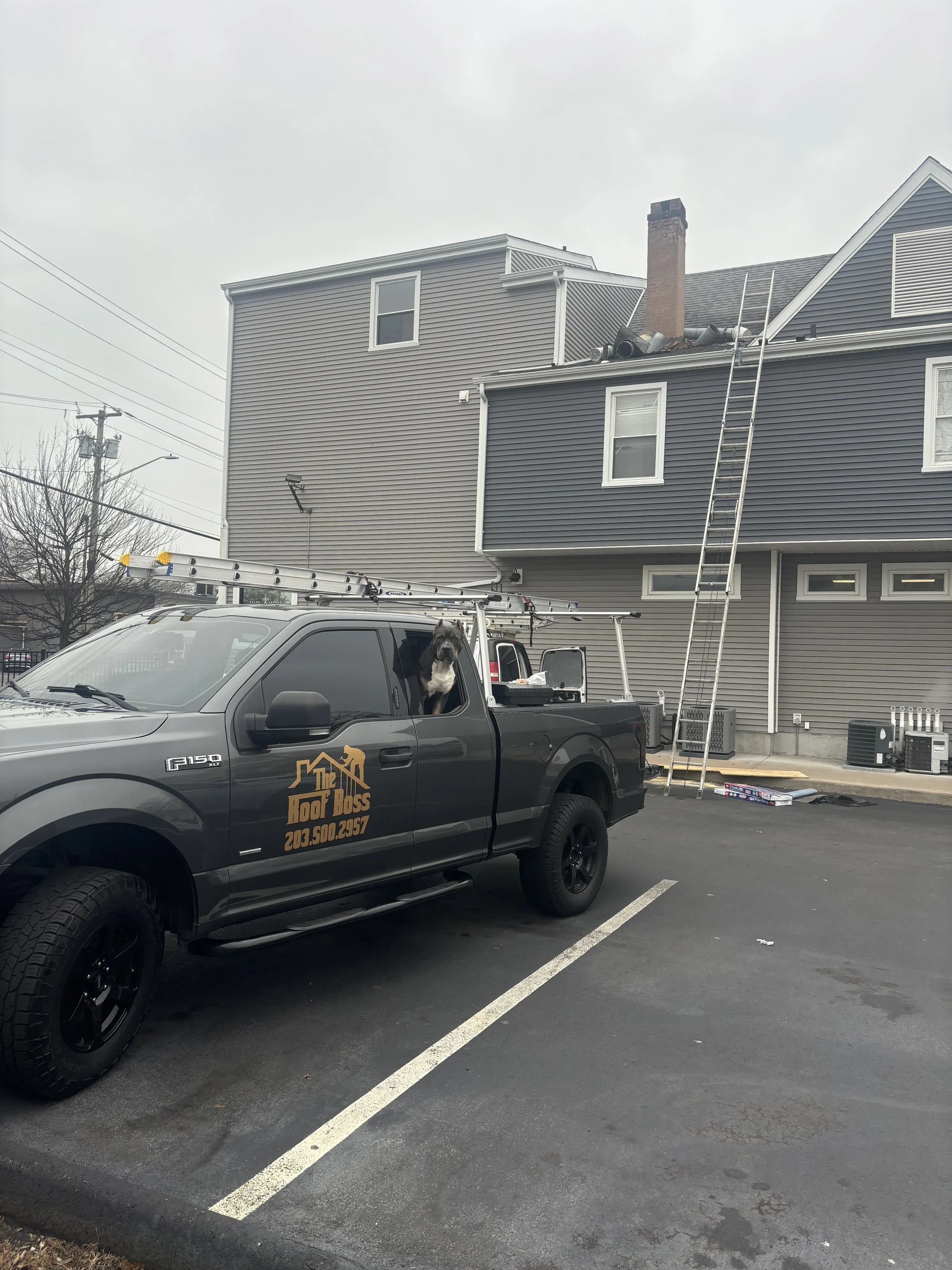 A roofing company truck parked near a house under roof repair, with a dog sitting in the truck's window.
