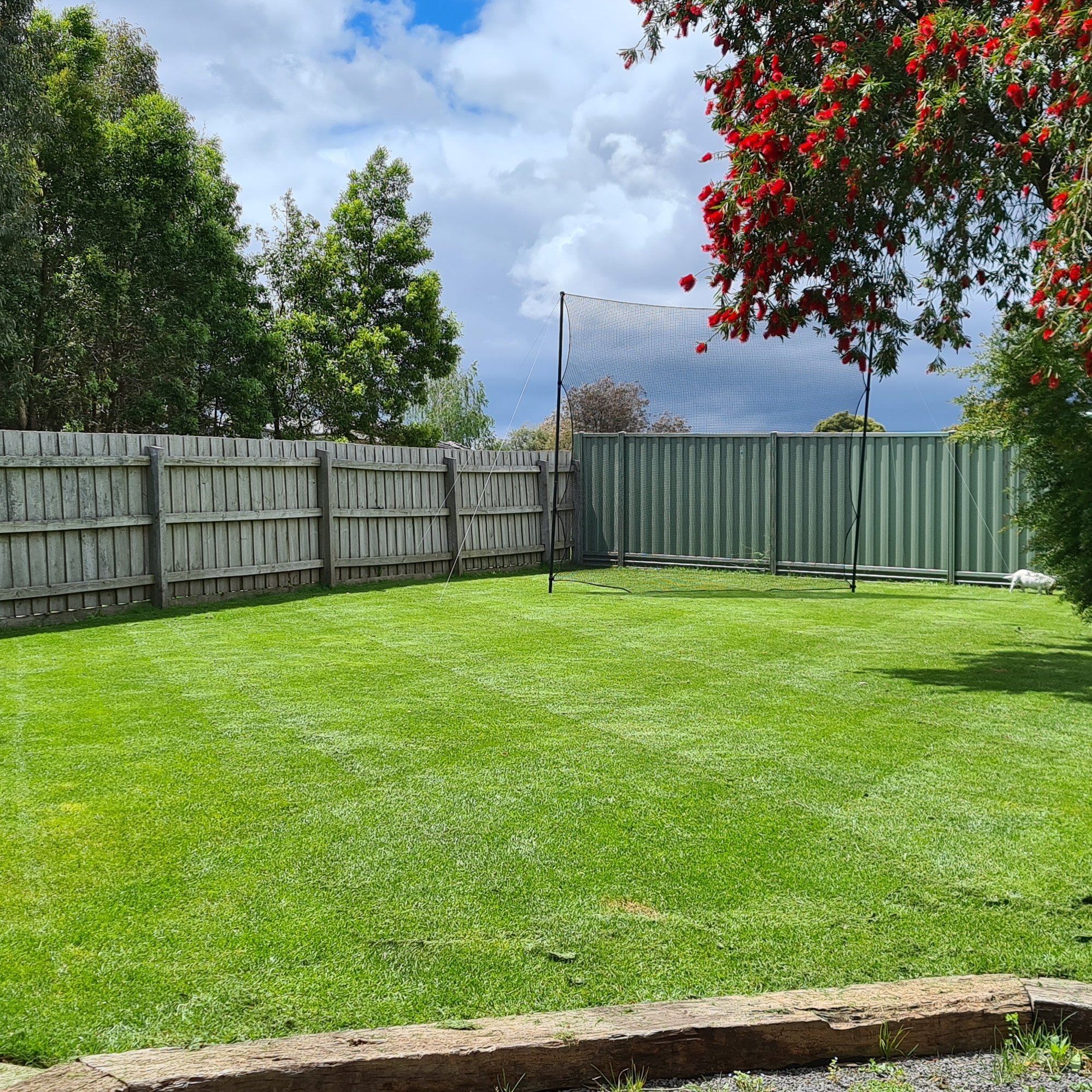 A well-maintained backyard with a green lawn, surrounded by trees and a wooden privacy fence. There is a green metal shed with a netting structure above it, and a small dog near the shed. The sky is partly cloudy.