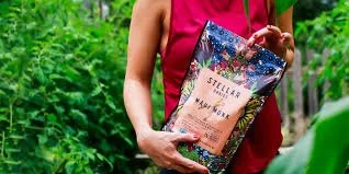 Stellar Snacks – Product packaging for indie pretzel brand (case study coming soon)