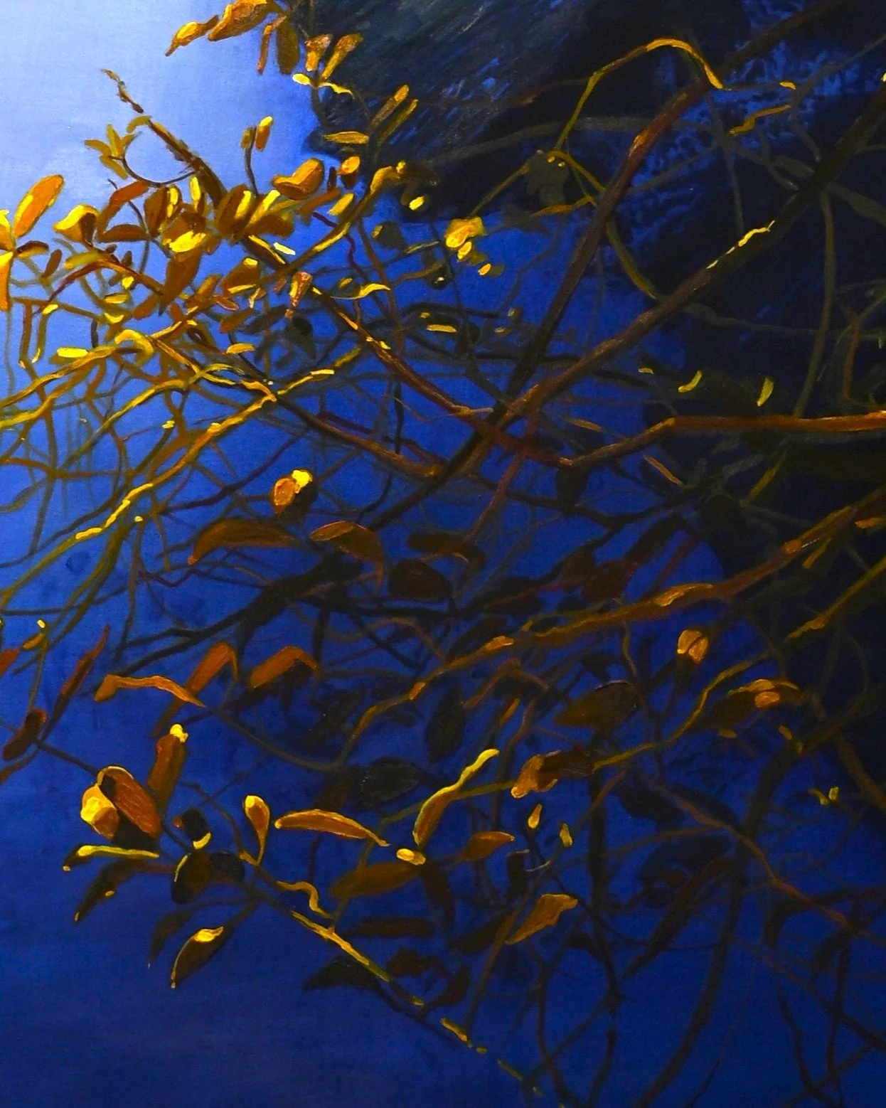 stillness detail 3.JPG