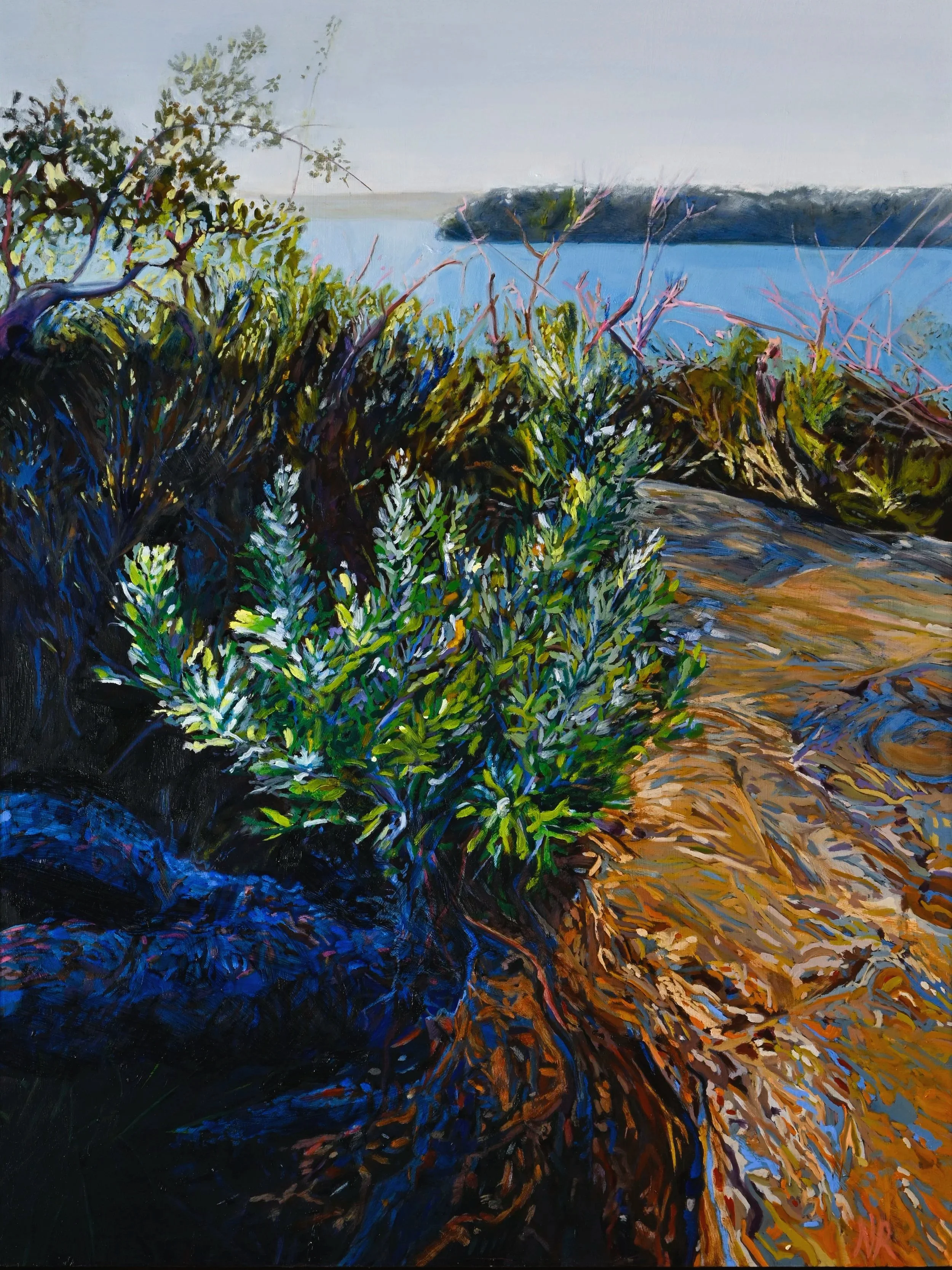 Banksia Renewal 80cmx60cm.jpg