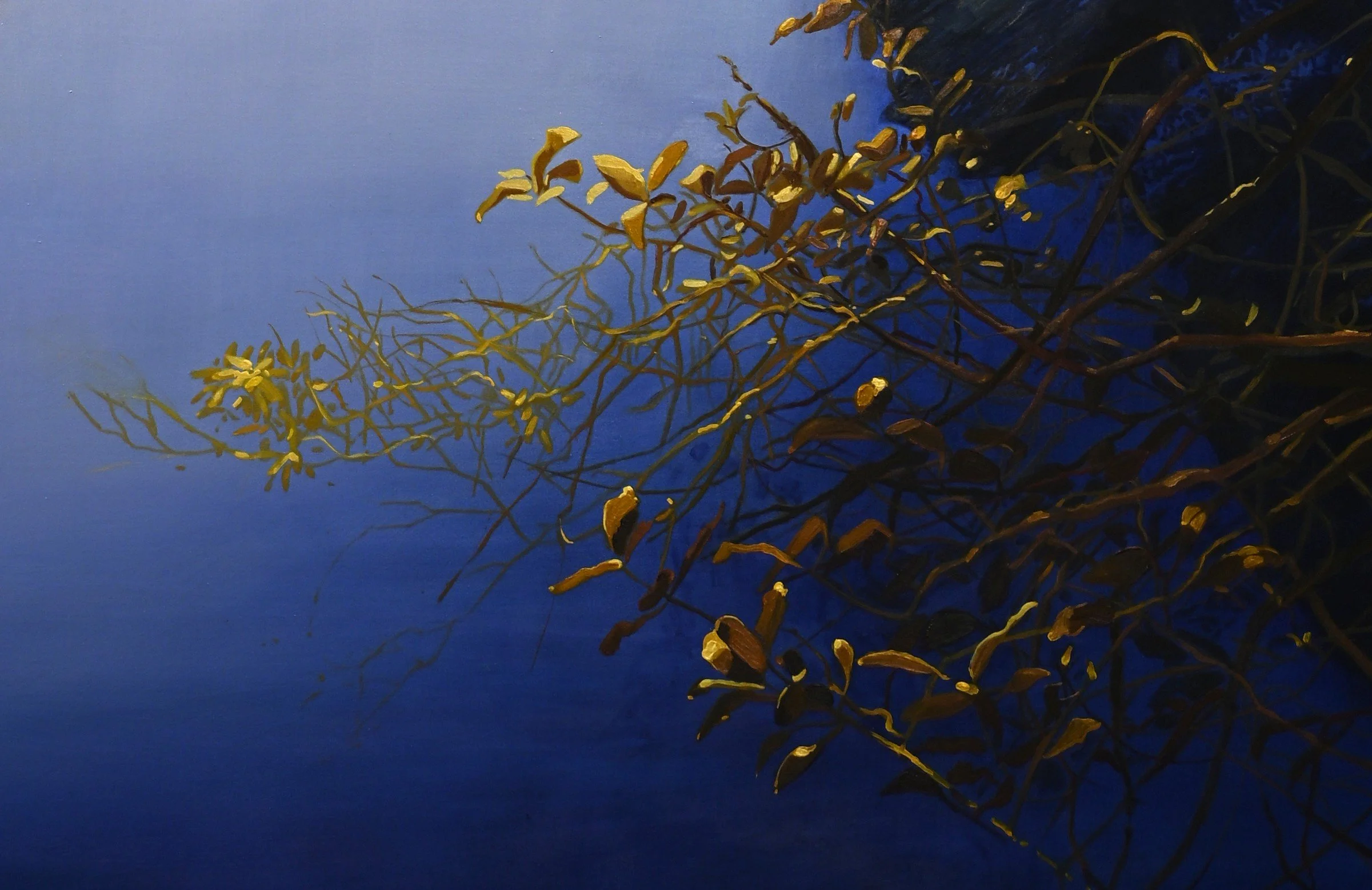 stillness detail.JPG