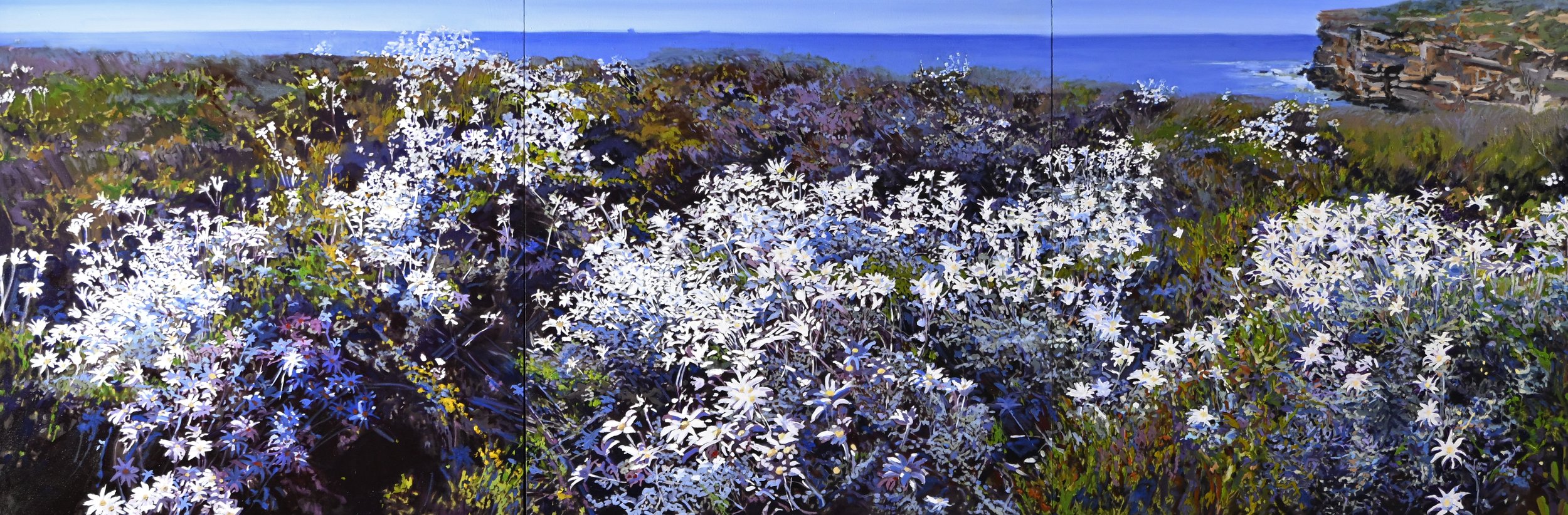 Cliff Dwellers and Sea Dwellers.jpg