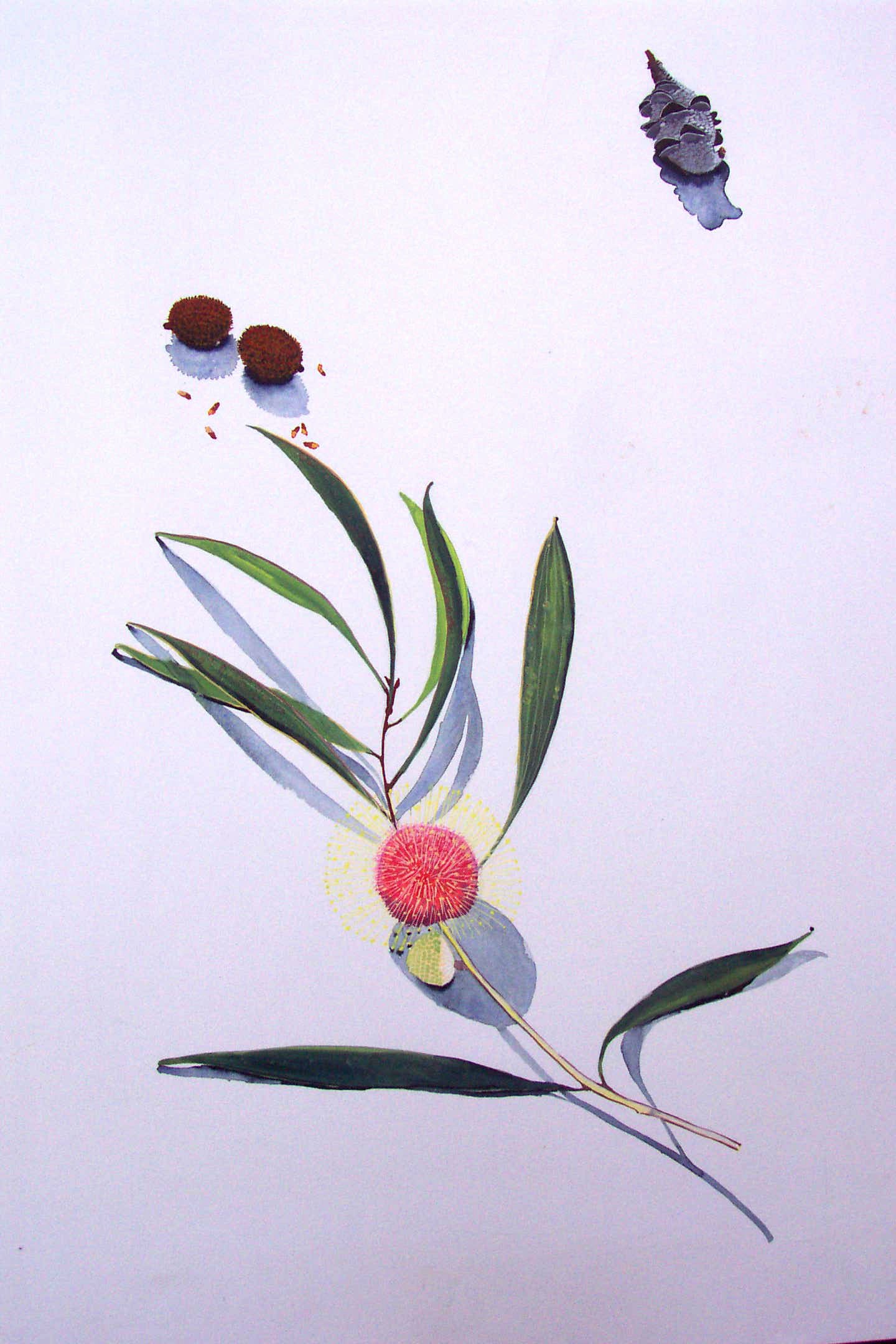 Botanics2.jpg