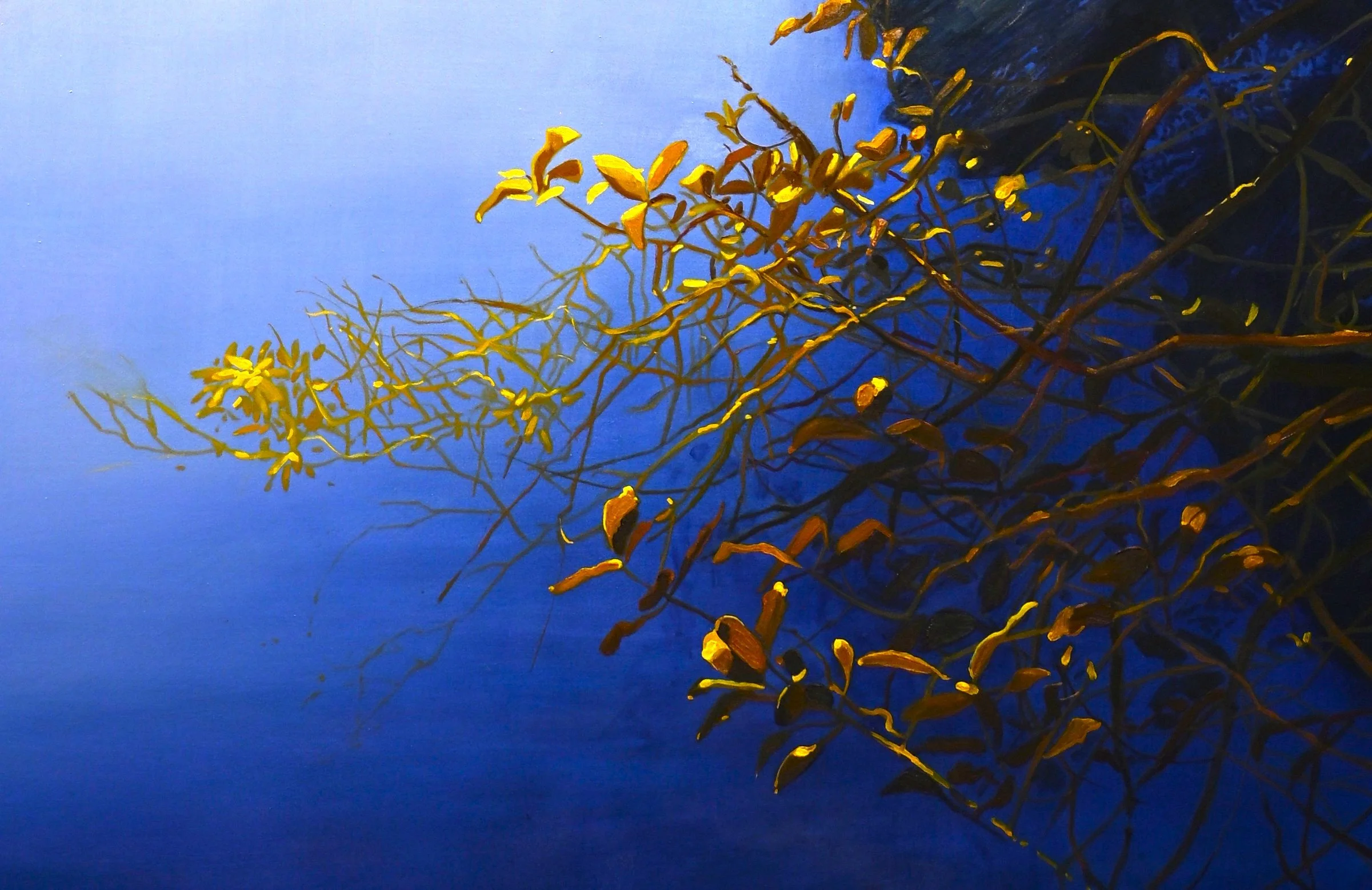 stillness detail.JPG