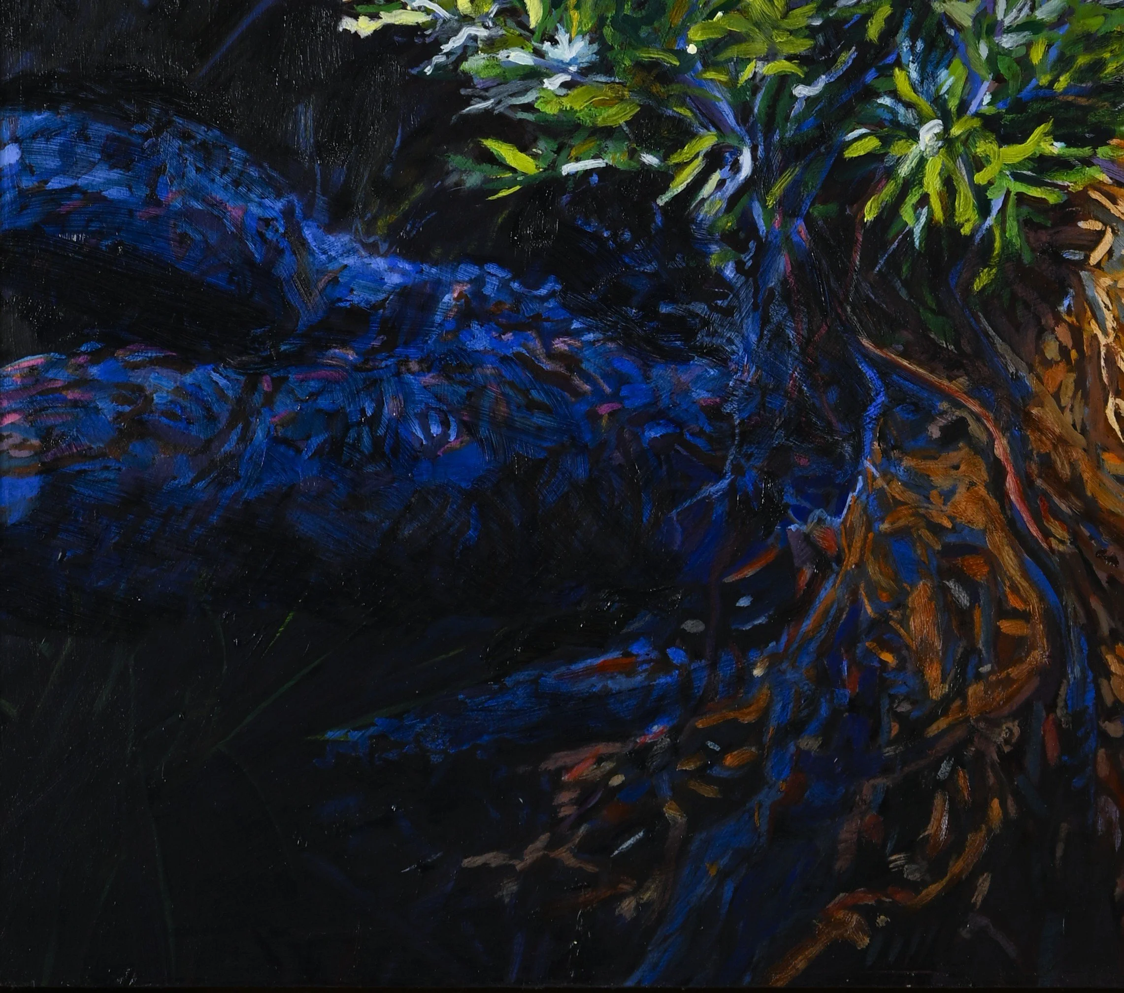 Banksia Renewal detail 2.jpg