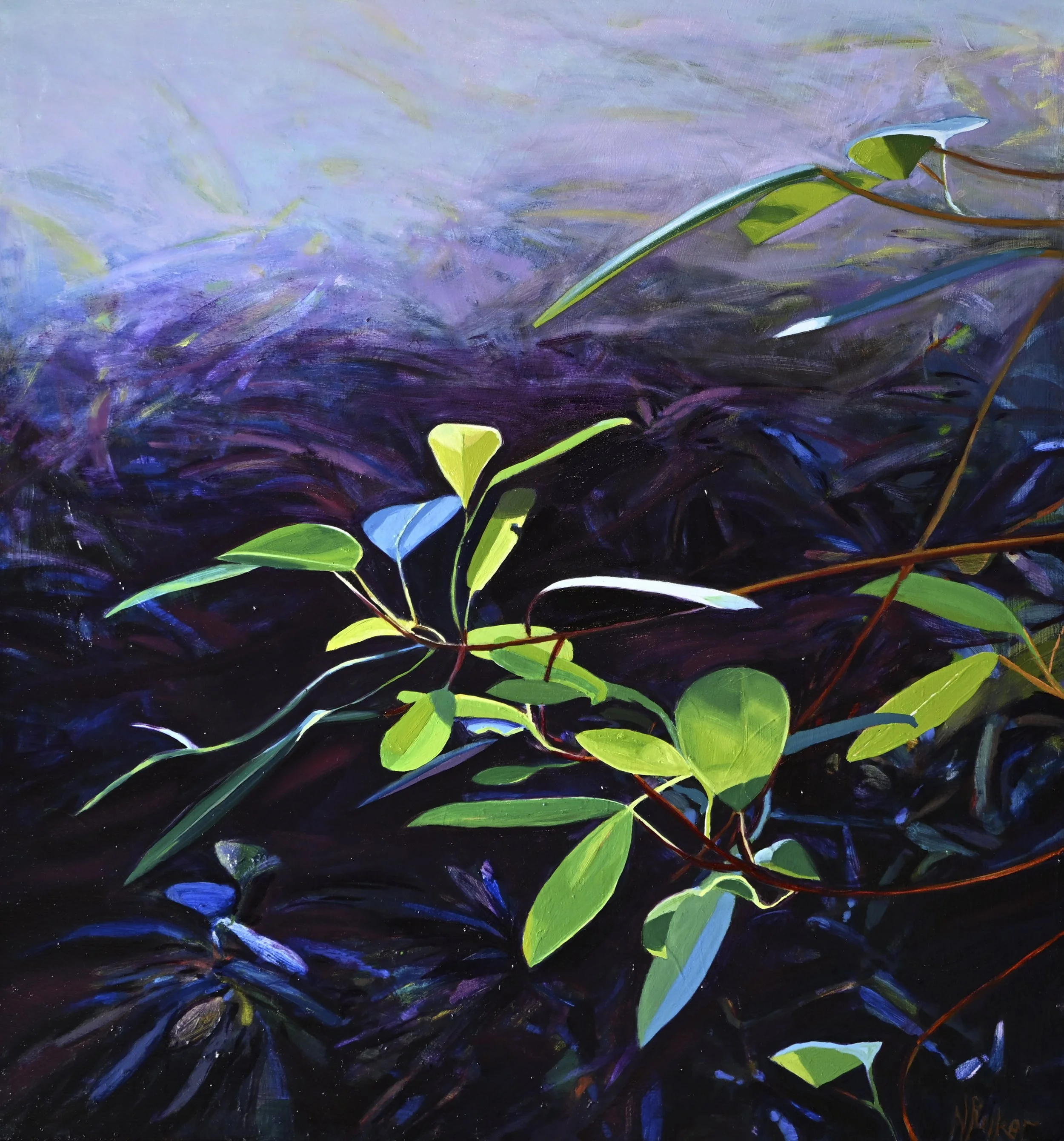 Fig Tree Magic Light 60x60.jpg