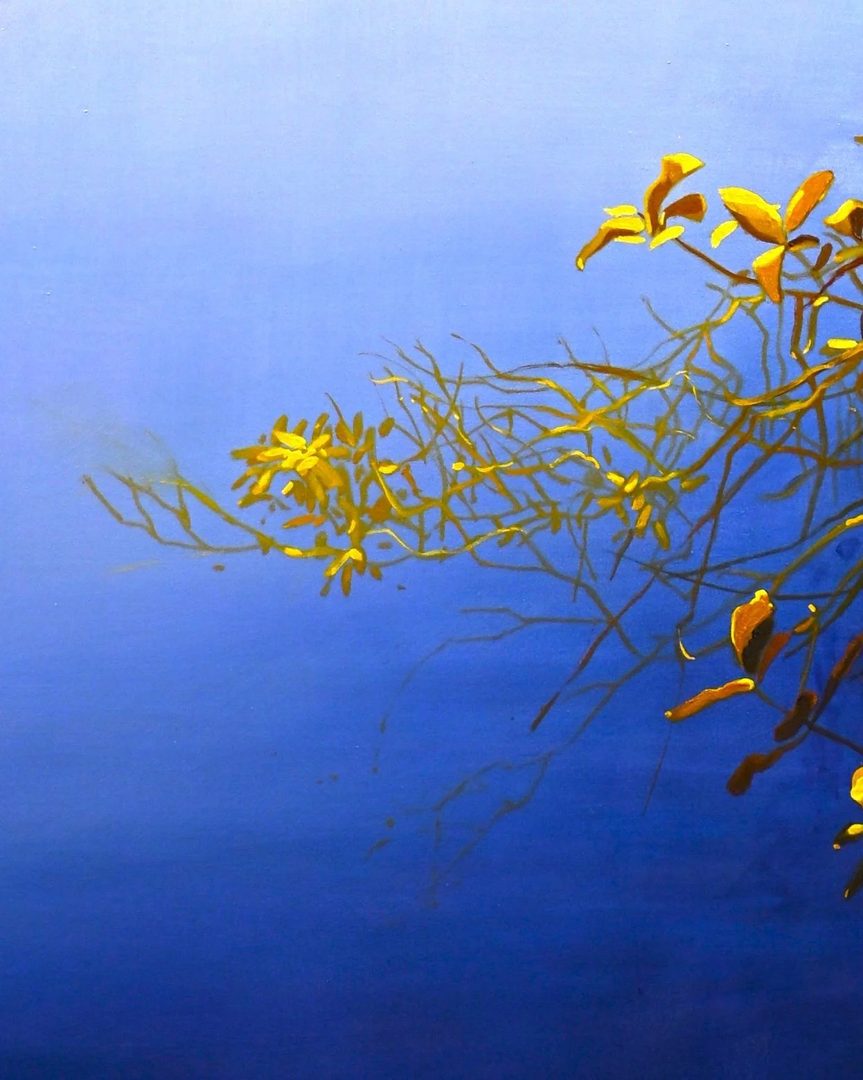 stillness detail 1.JPG
