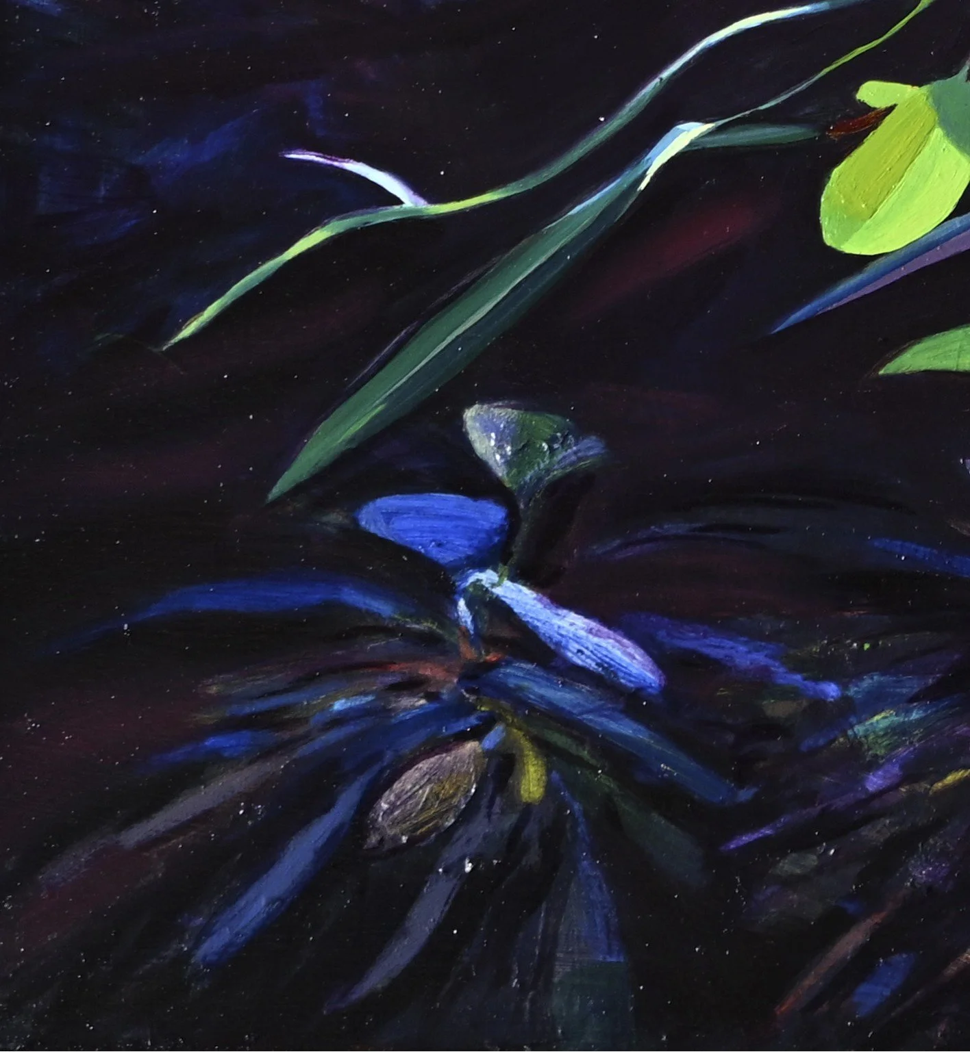 Fig Tree Magic Light detail 1.jpg