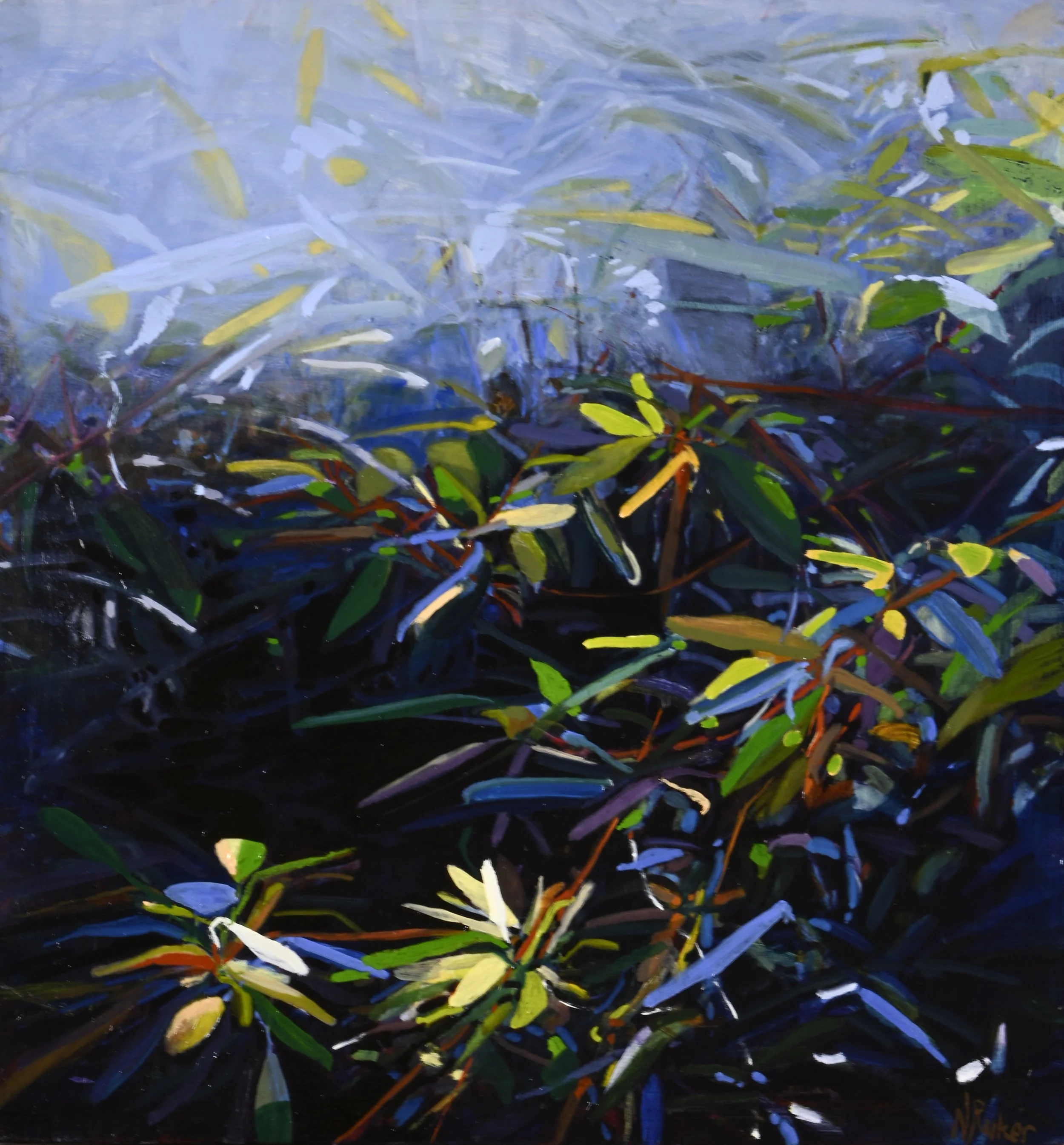 Fig Tree's Magic Light Oil on Birch 60x60.jpg