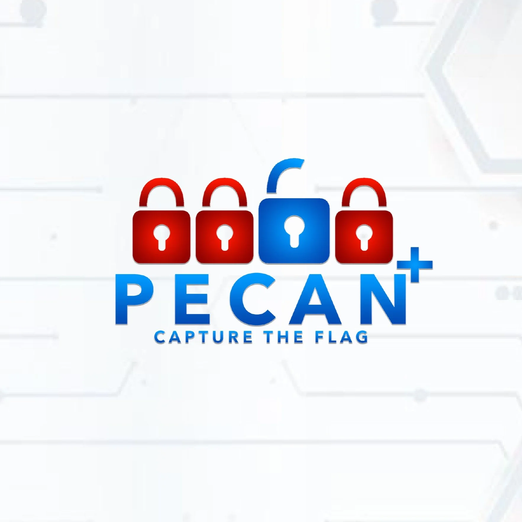 PECAN+ CTF 2025