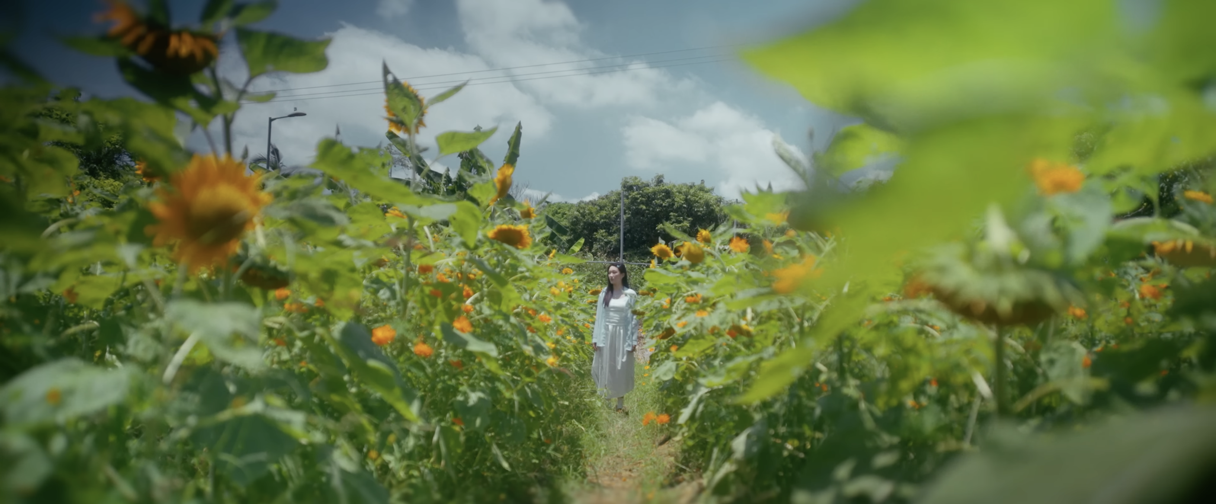 螢幕截圖 2026-08-02 下午1.52.37.png