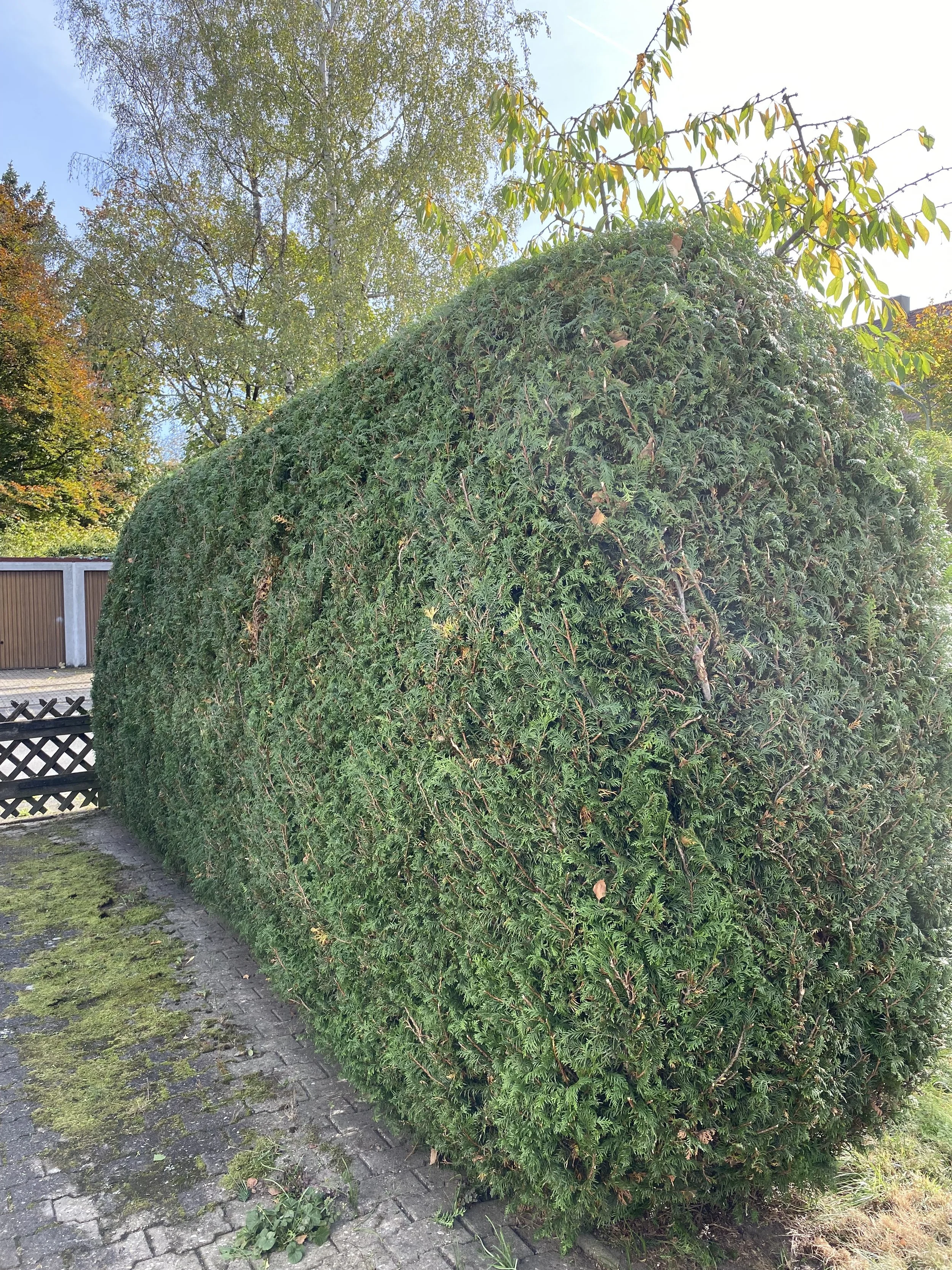 Gartenpflege