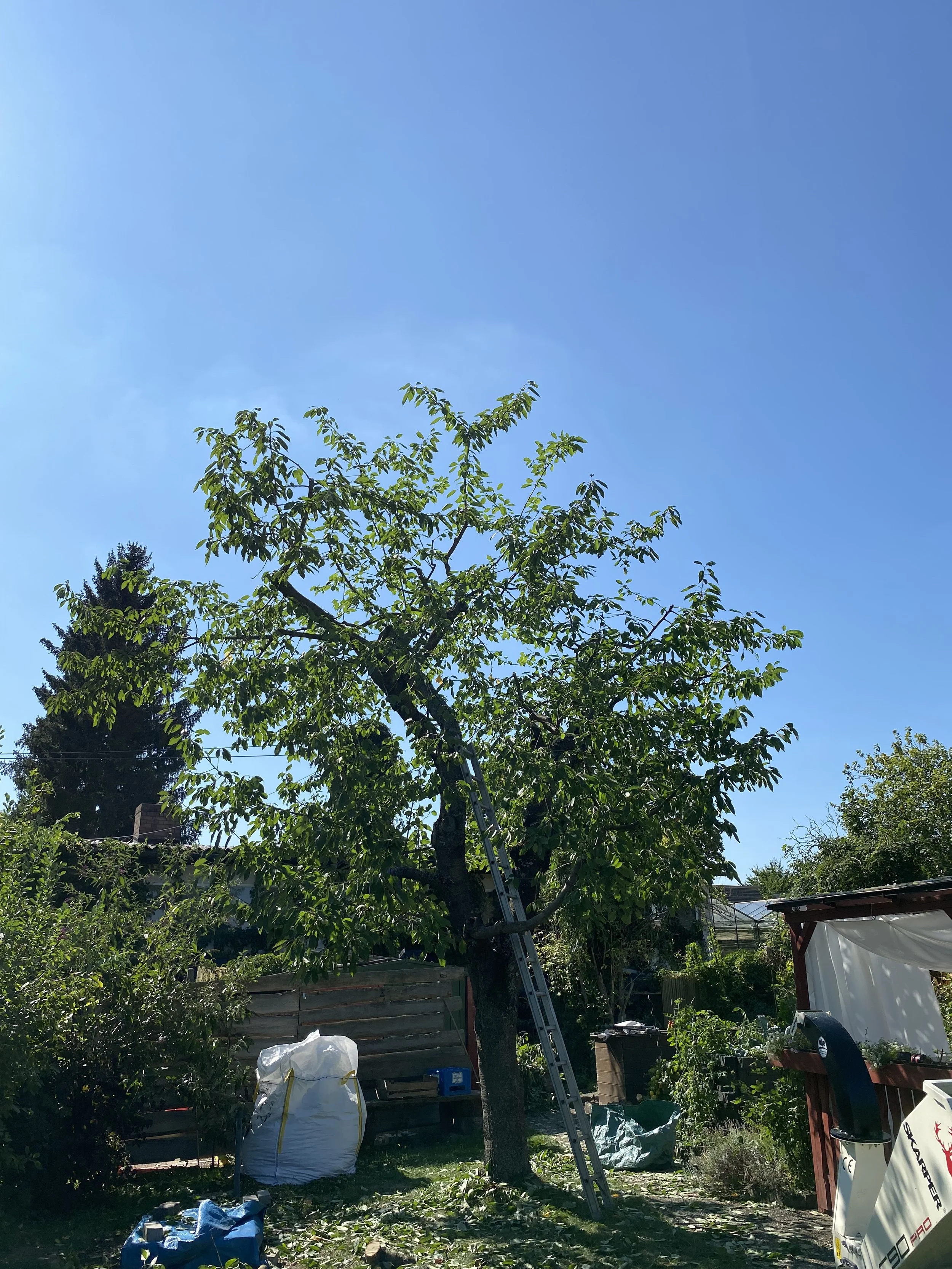 IMG_4641.jpeg