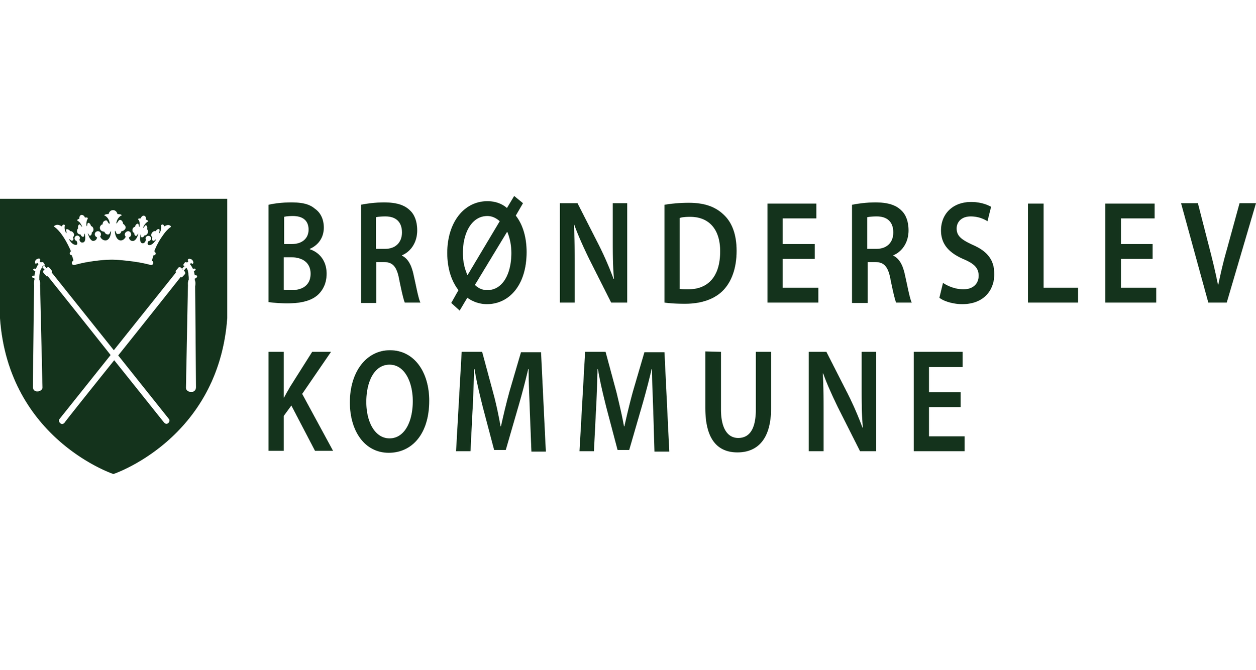 Brønderslev.png