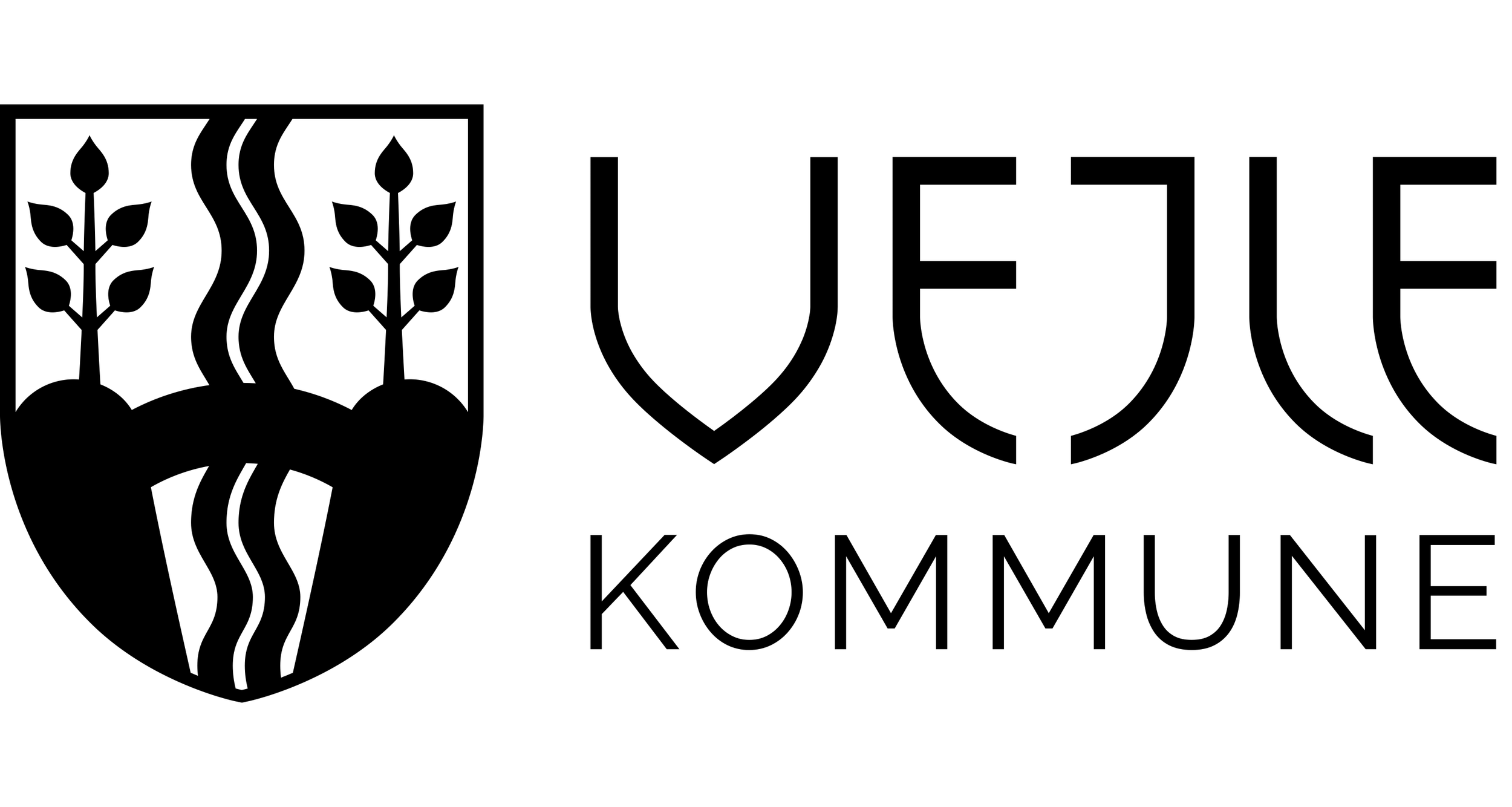 vejle.png