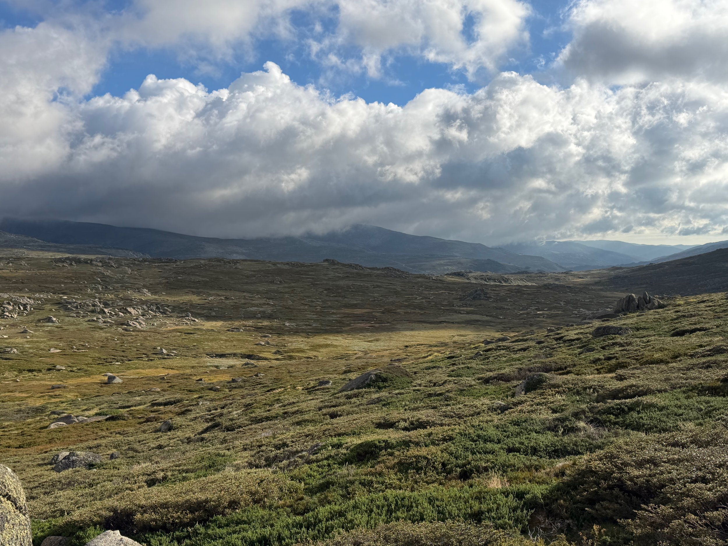 IMG_3499.jpeg