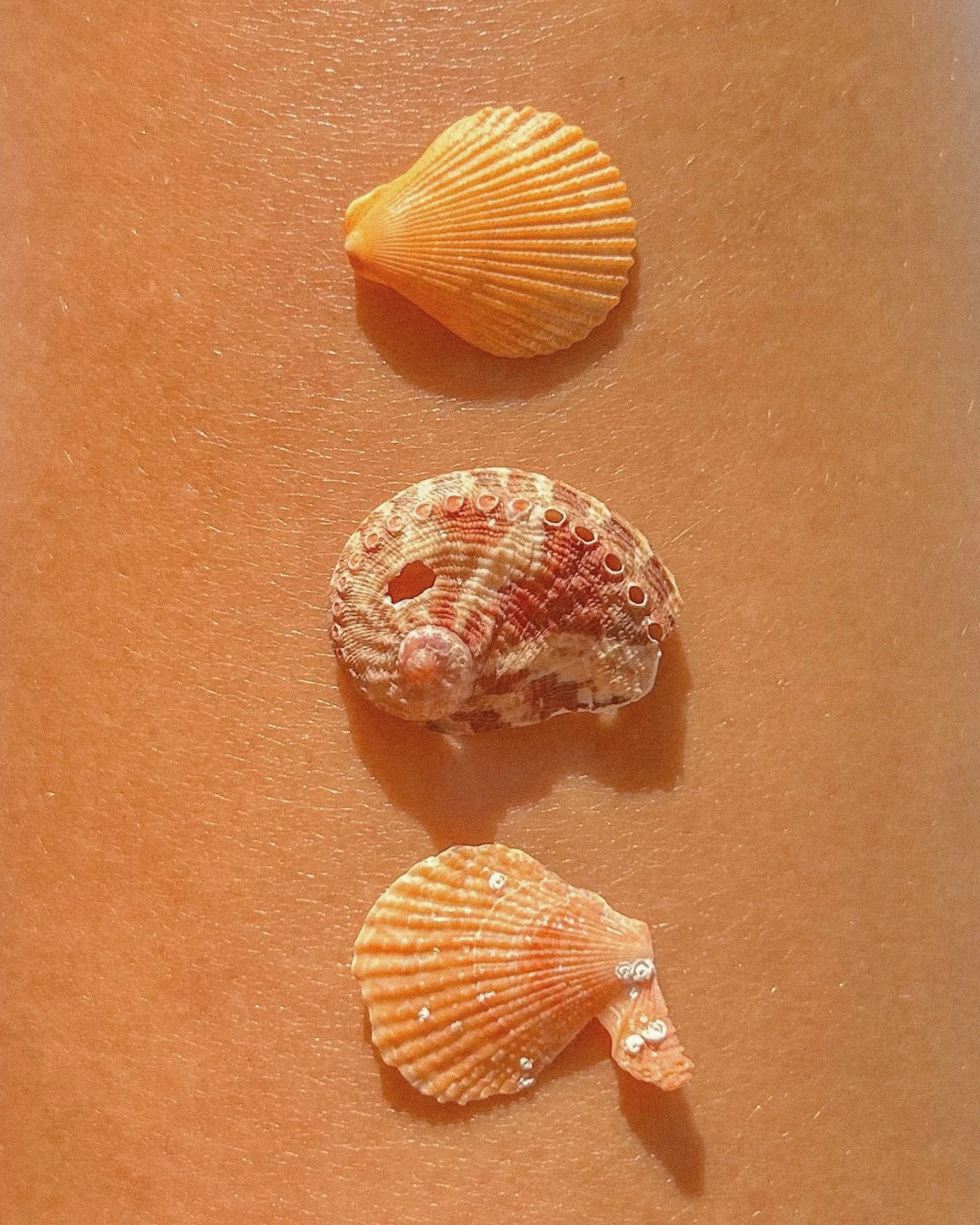 Natural beauties ☀️