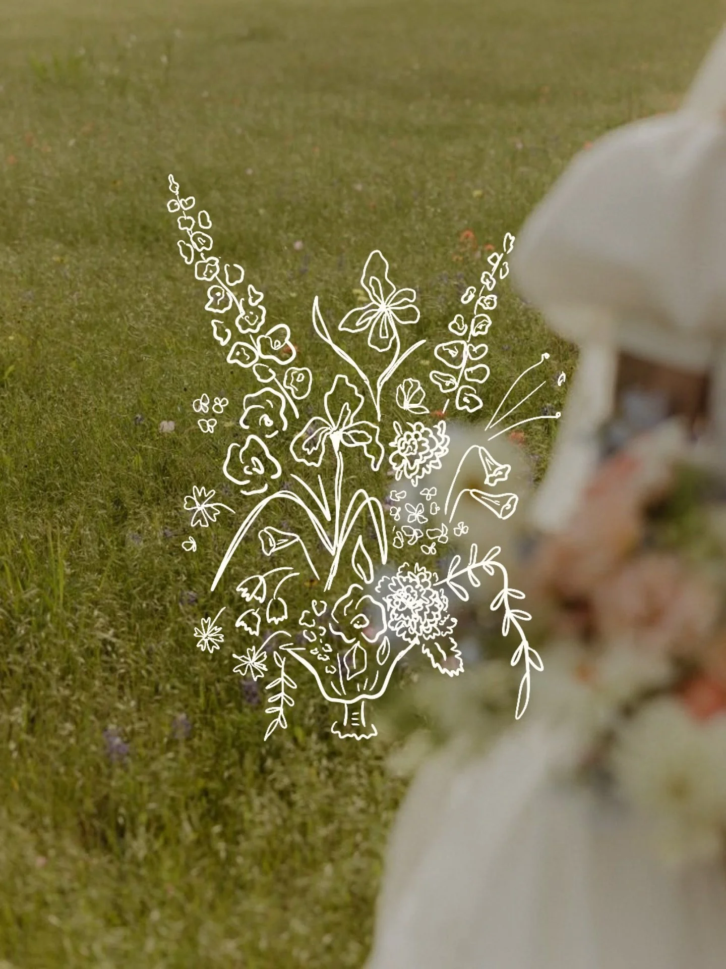 Sweet custom illustrations and stationary for @blayneybotanicals 💐