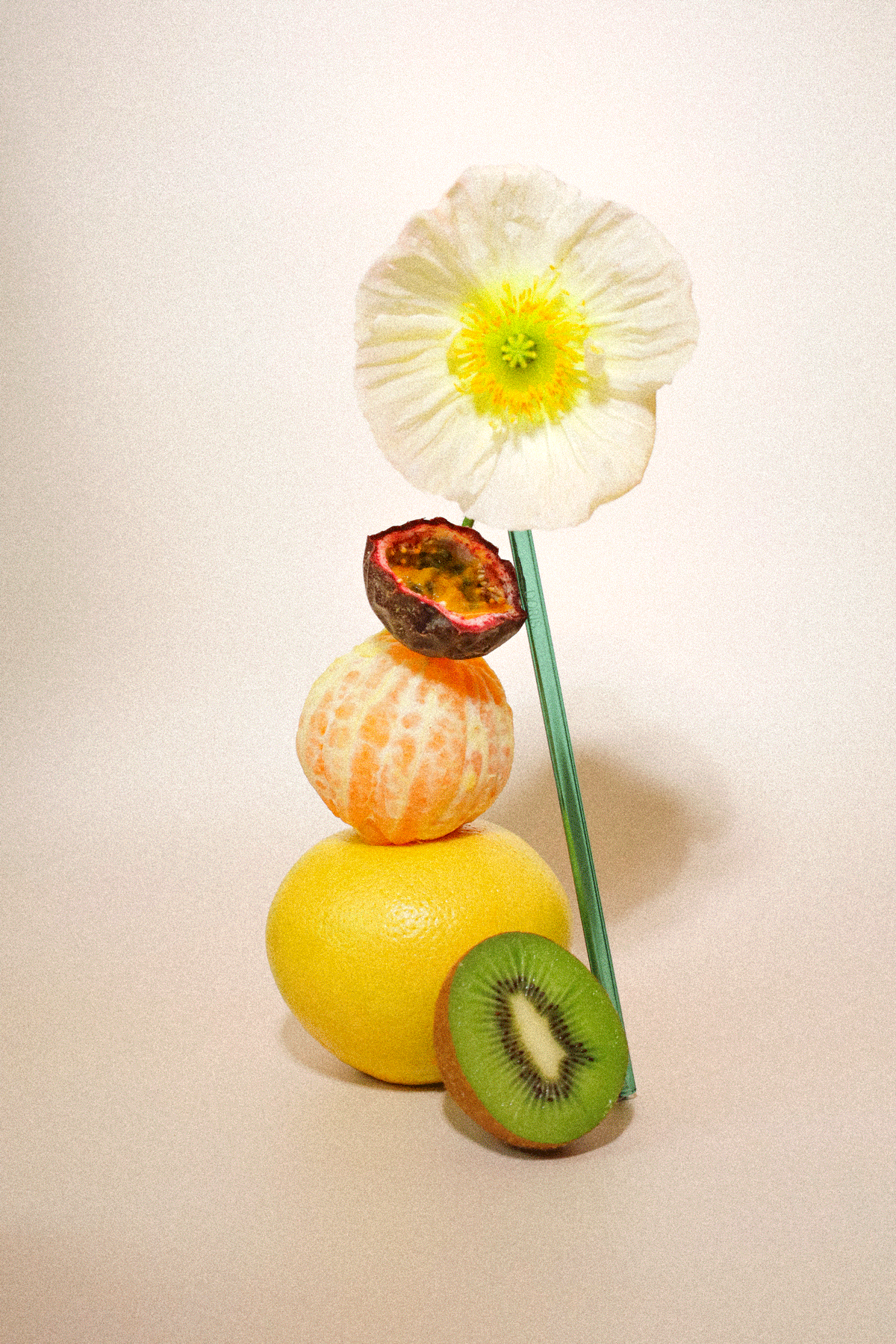 1ad118_e6e992ea9f684bfa877616b968c9b8f8~mv2.gif