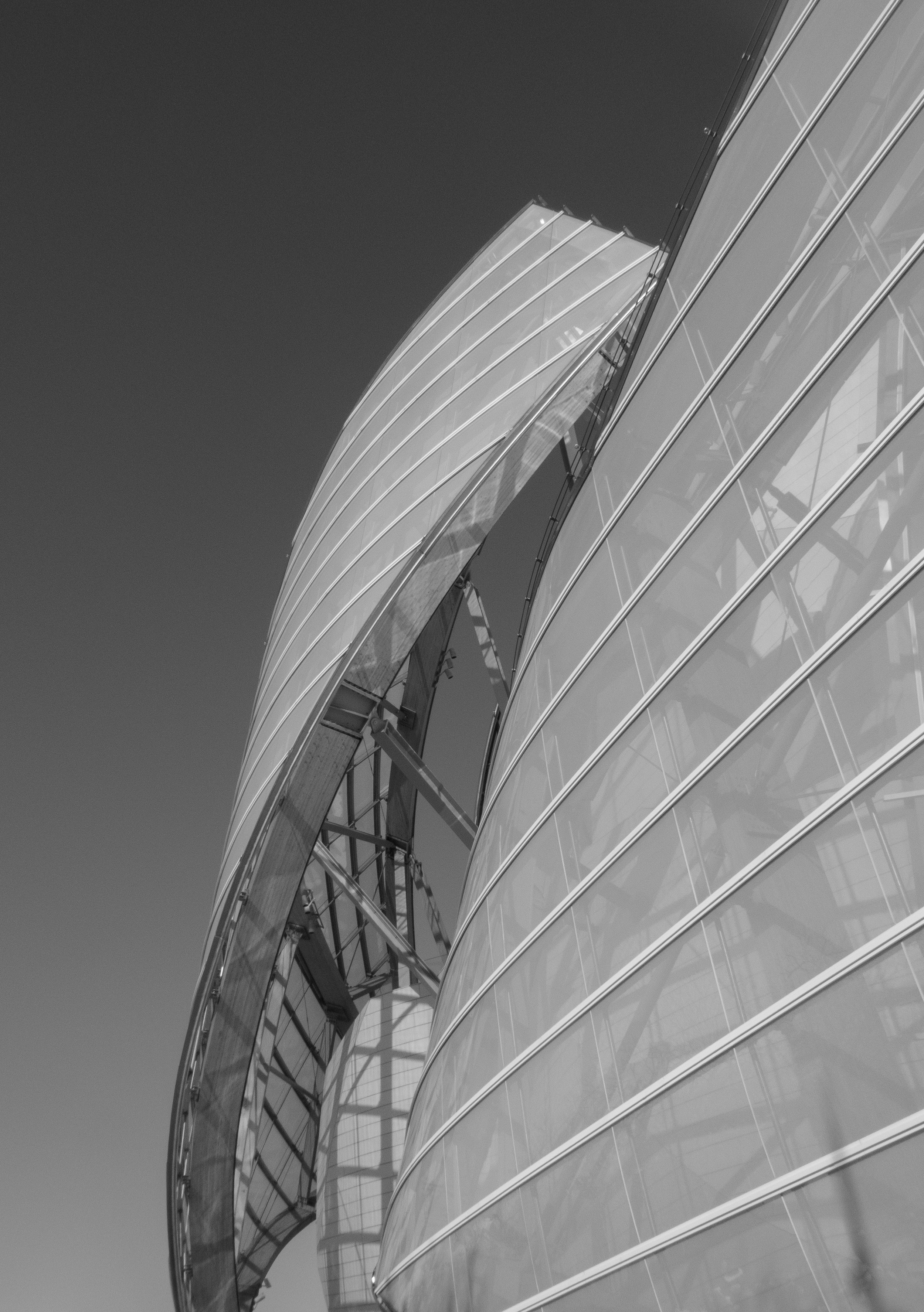 P1050149.jpg