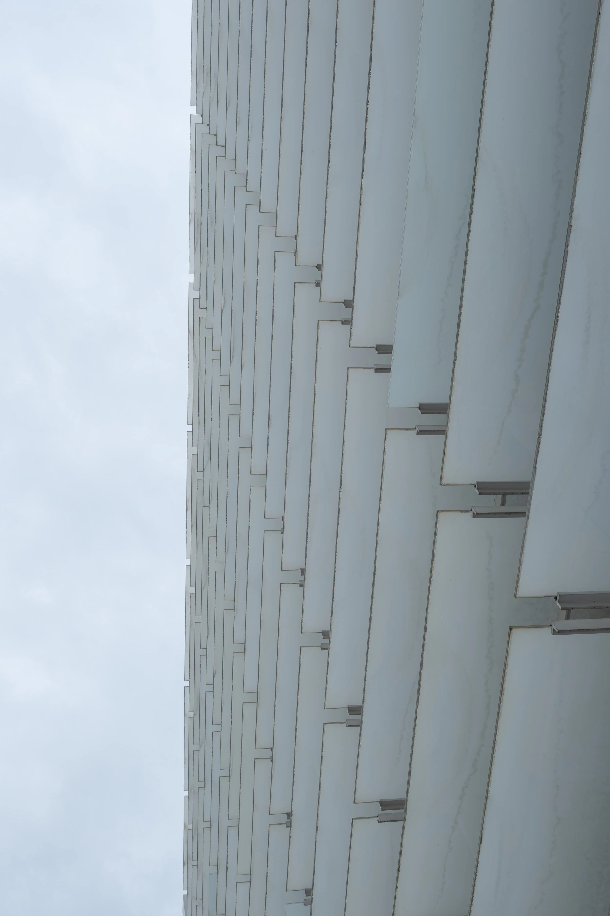 DSCF9546.jpg