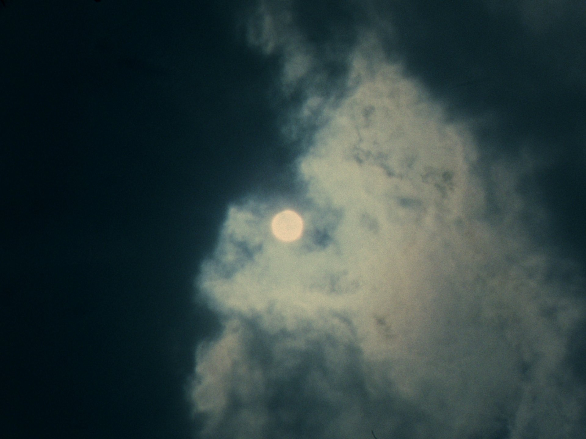 F51A2356-98A7-4B27-86BC-3389C5F88512.jpeg
