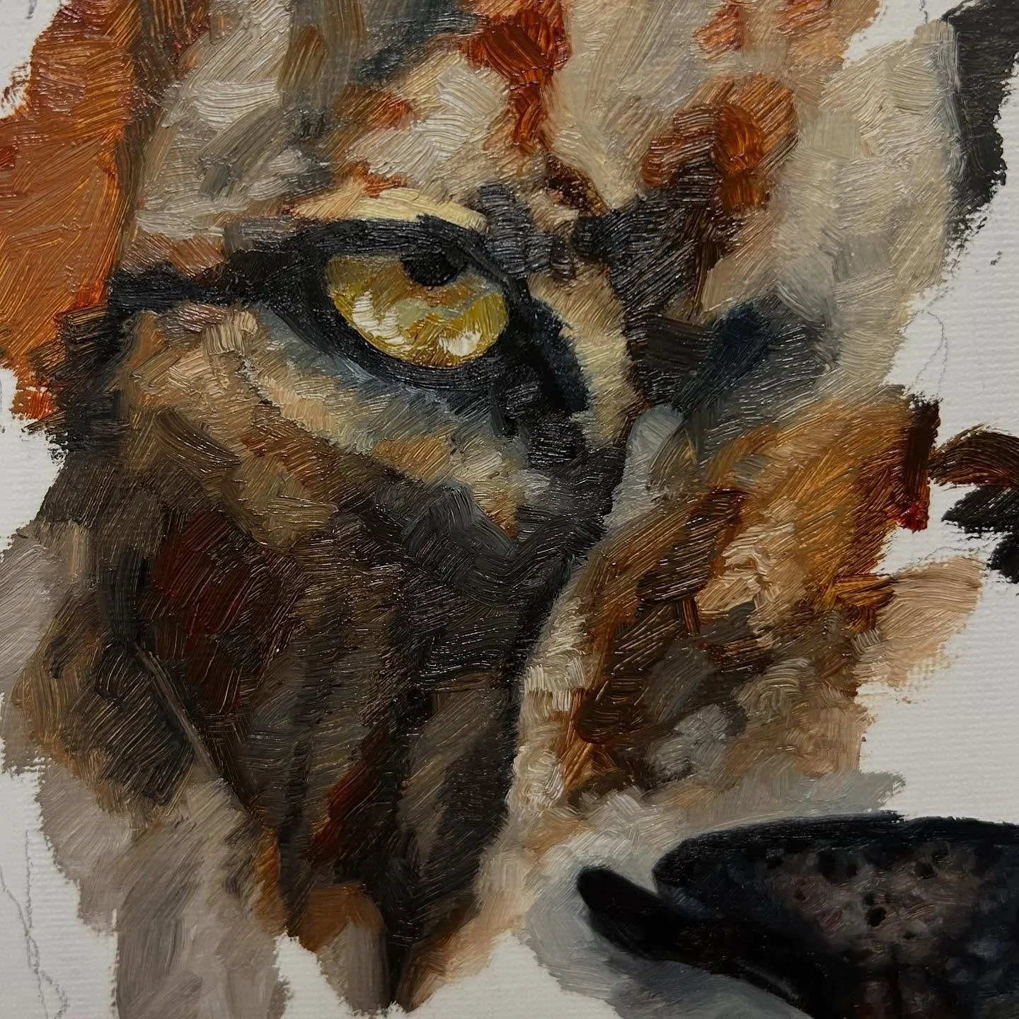 This king is coming along nicely 👑 Not gonna lie though, he&rsquo;s definitely giving resting bitch face energy 🦁

#wildlifeart #lionpainting #lionportrait #kingofthejungle #originalartwork #kingenergy