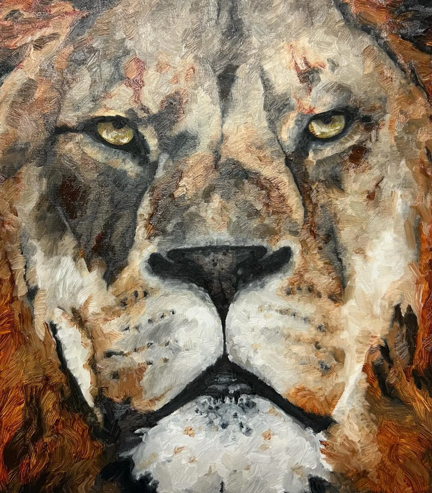 This guy just oozes sass!! What an absolute King! This is the first of 3 smaller paintings in this collection, measuring 25 x 30cm. Small in size, big on presence! There will be a range of sizes released in this new body of work, to accommodate for a